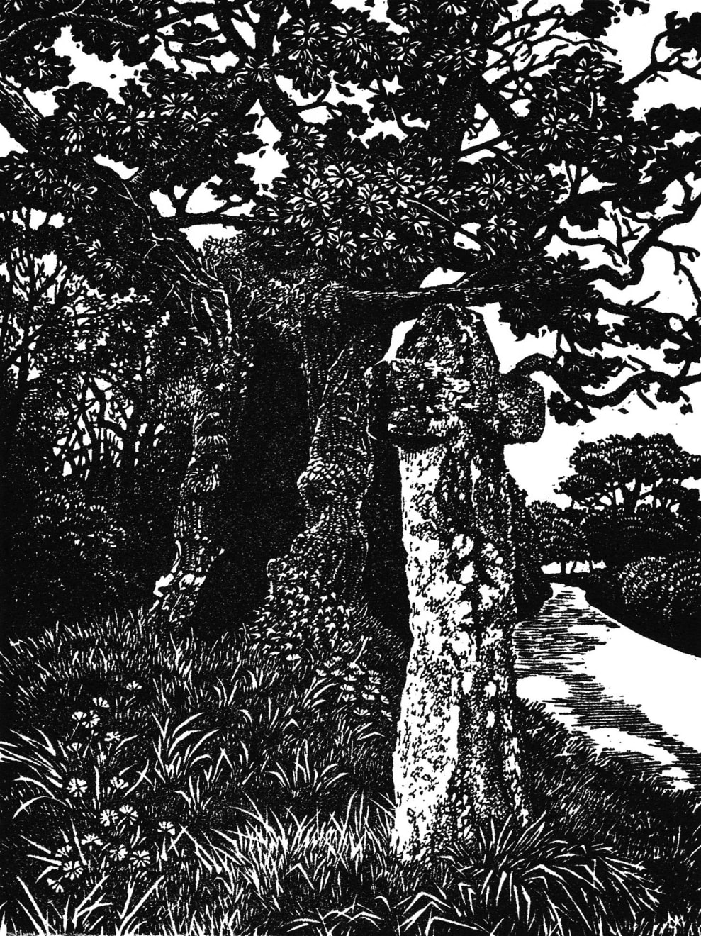 Blaze Cyan, Stumpy Oak at Hawson’s Cross, 2020