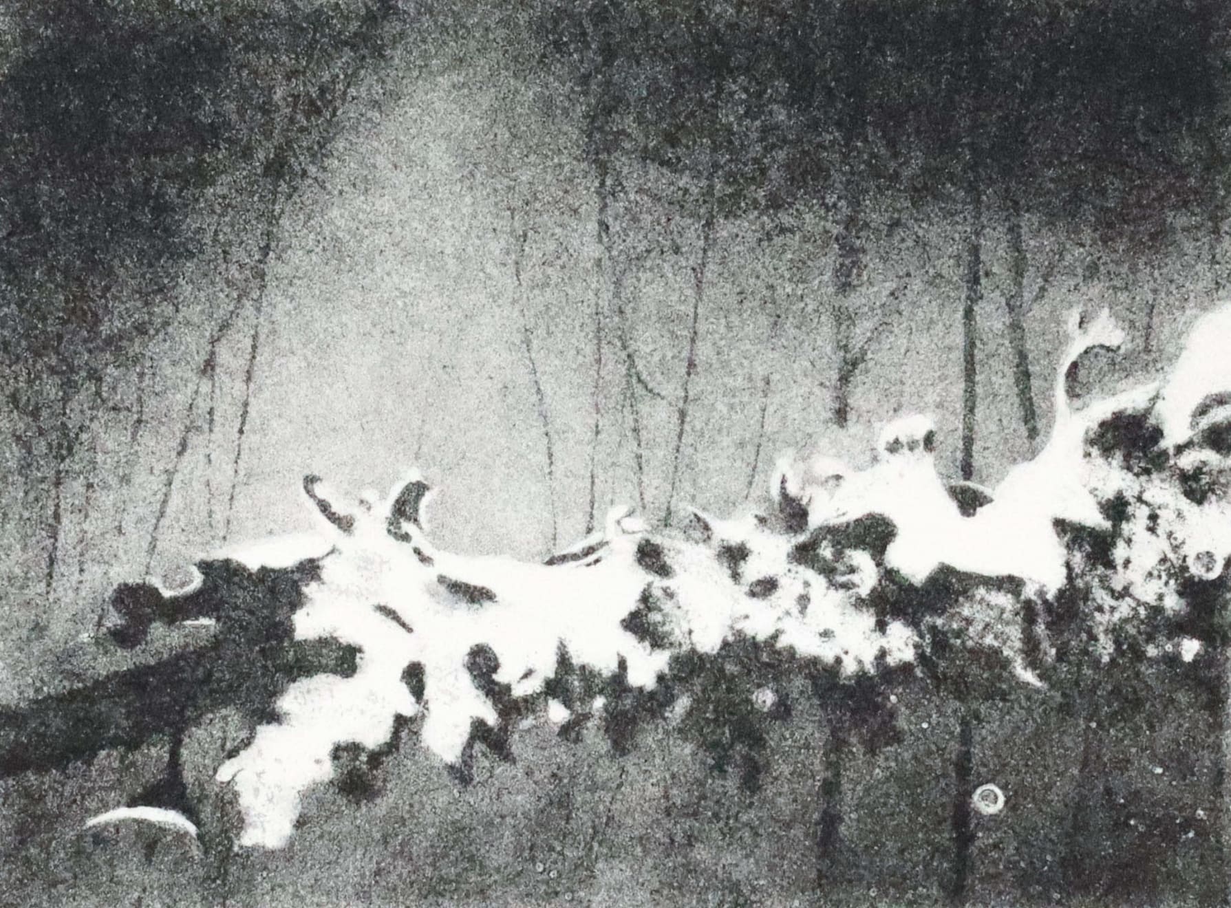 Fiona Fouhy, Gift, 2024