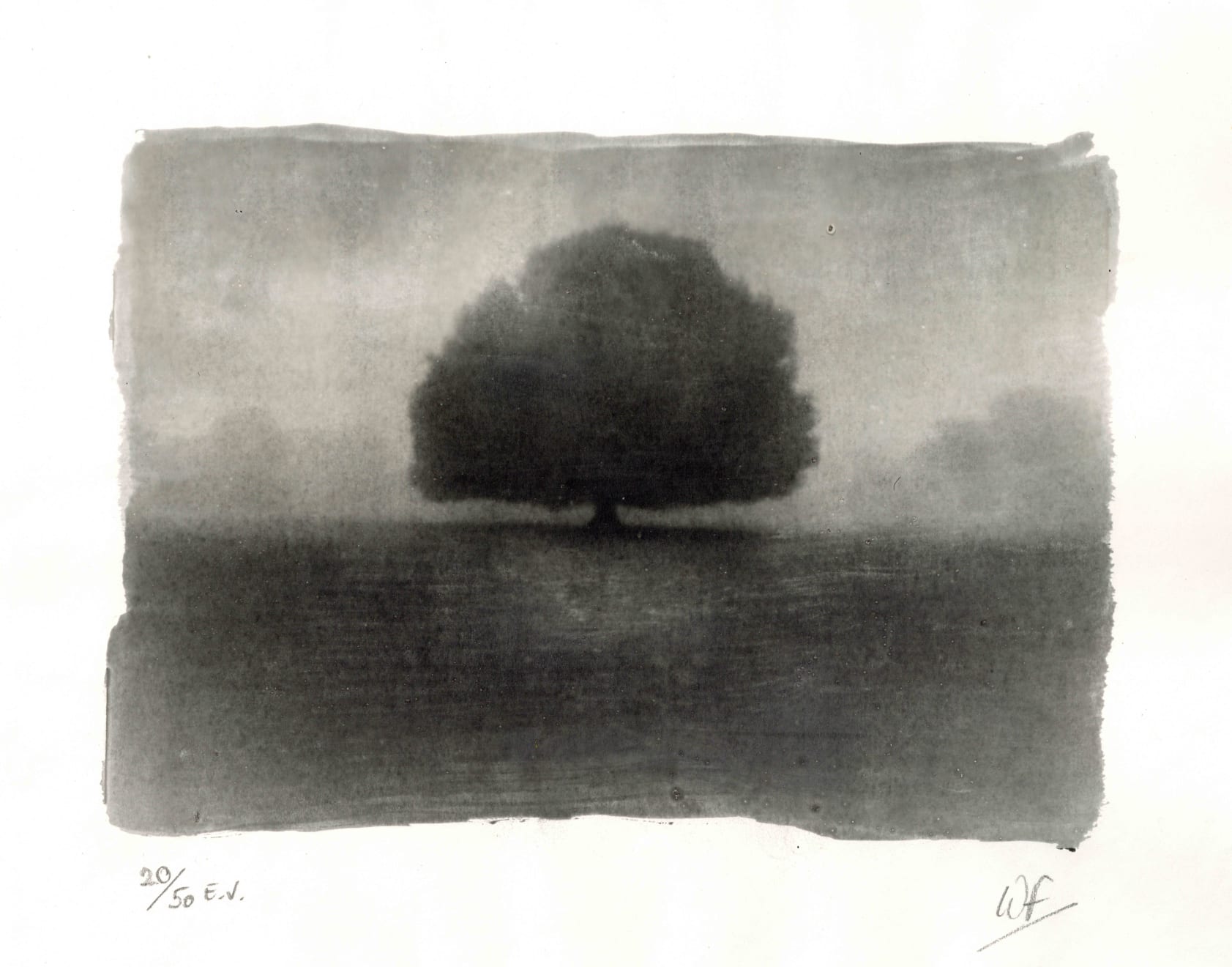 Wayne Foskett, Greenwich Park IV