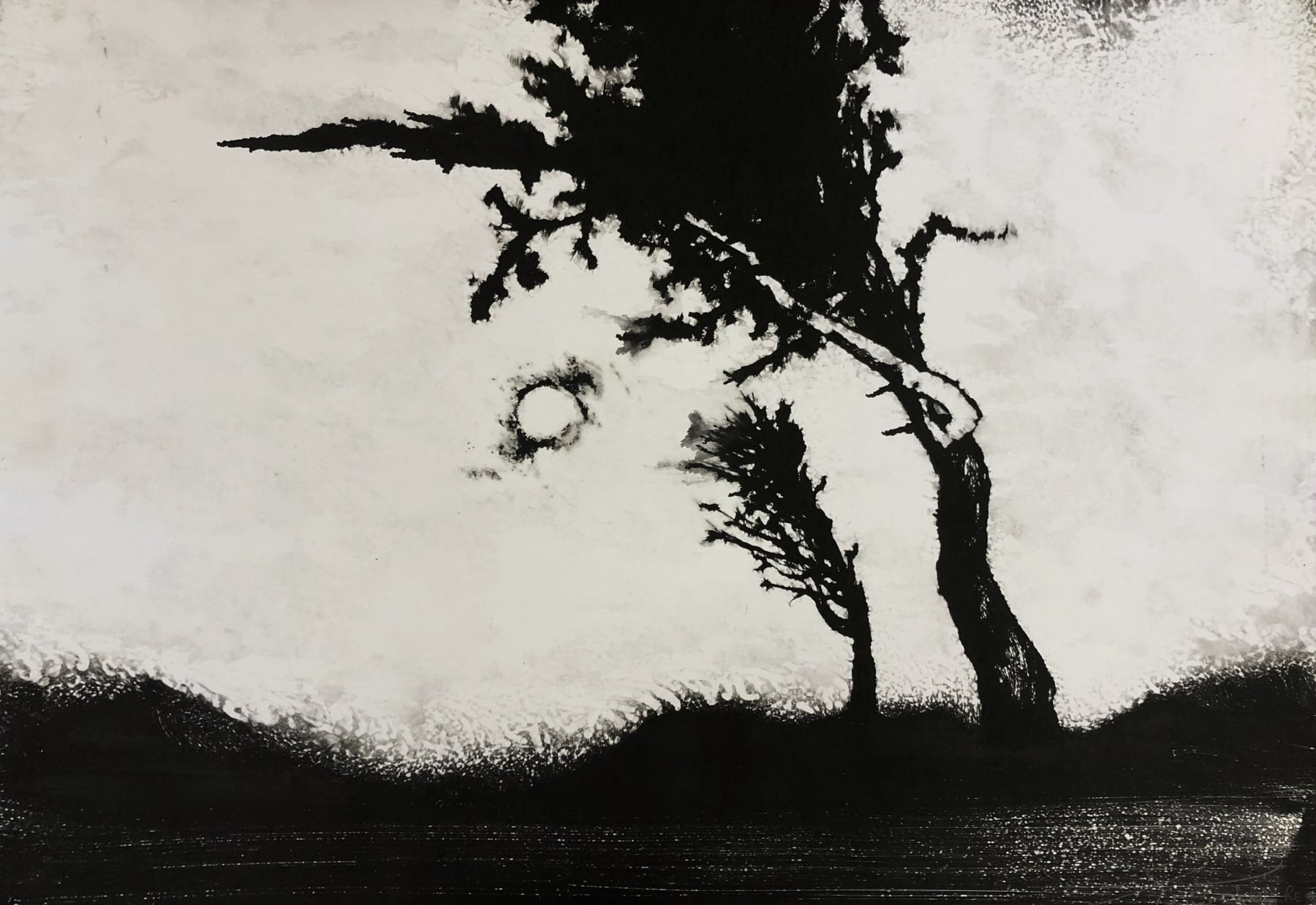 Edward Twohig, Super Moon 28, 2020