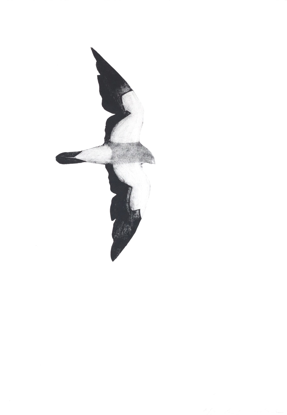 Christmas Secret Bid Auction 2024, LOT 67: Beatrice Forshall - Amur Falcon II