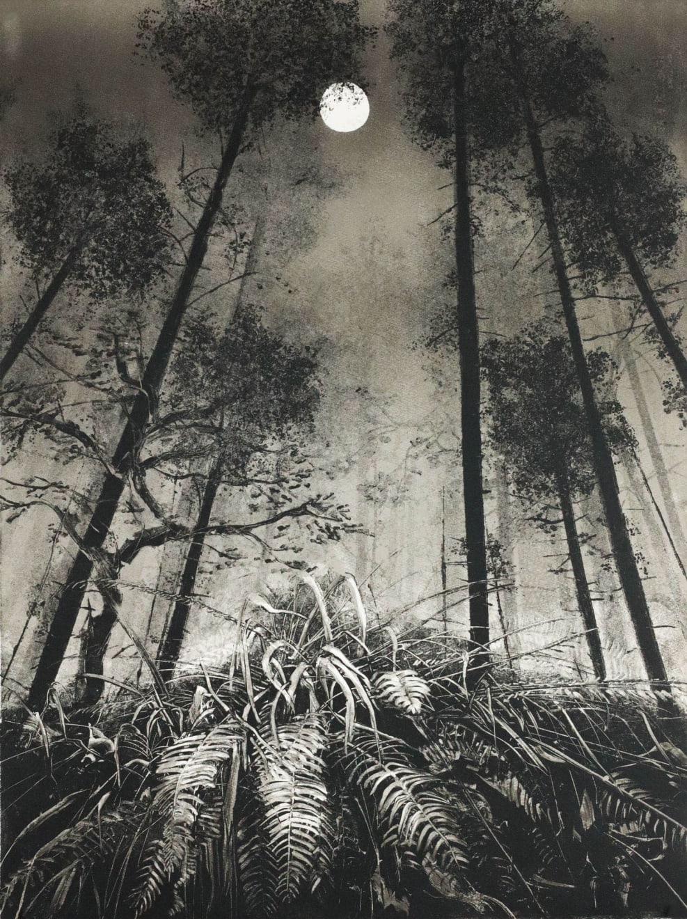 Fiona Fouhy, Close, 2025