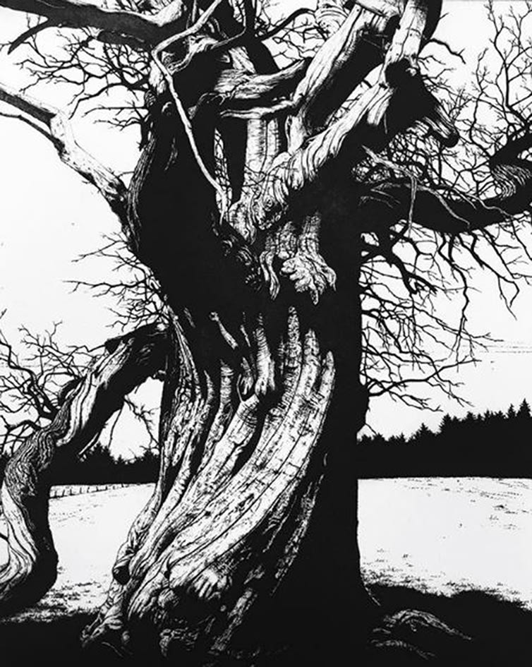 Blaze Cyan, Croft Castle VI, 2018