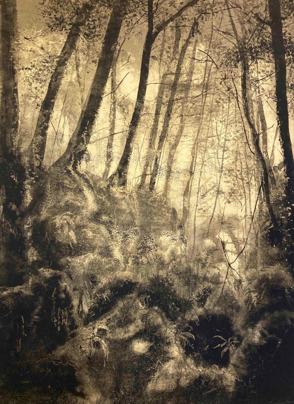 Fiona Fouhy, Saturated Silence, 2023