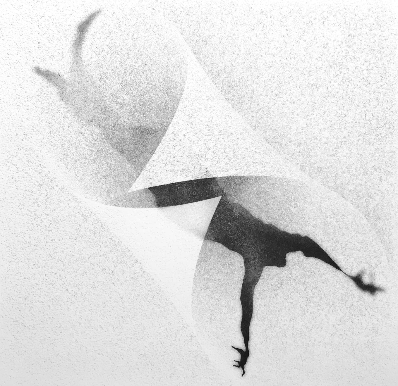 Veta Gorner, Into Thin Air, 2020