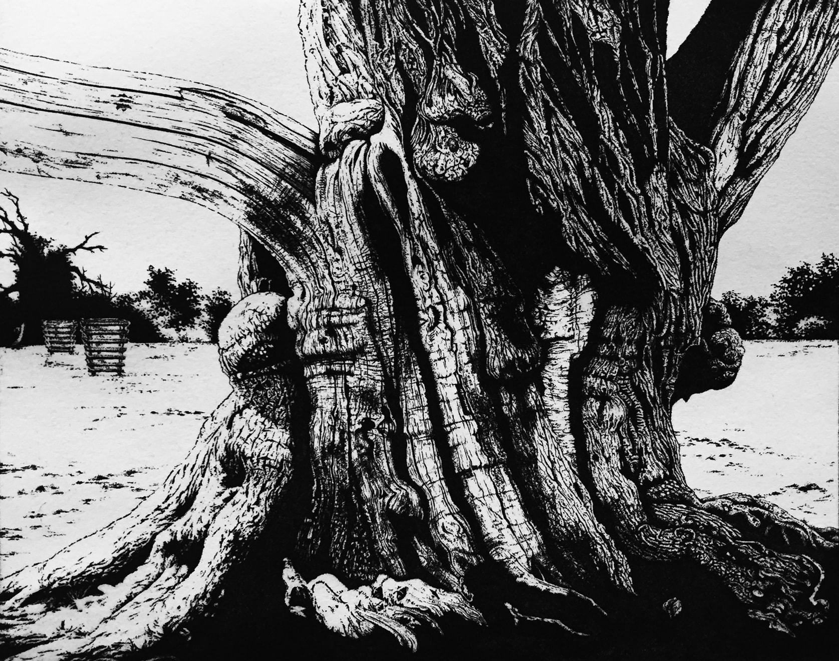 Blaze Cyan, Croft Castle IV, 2018