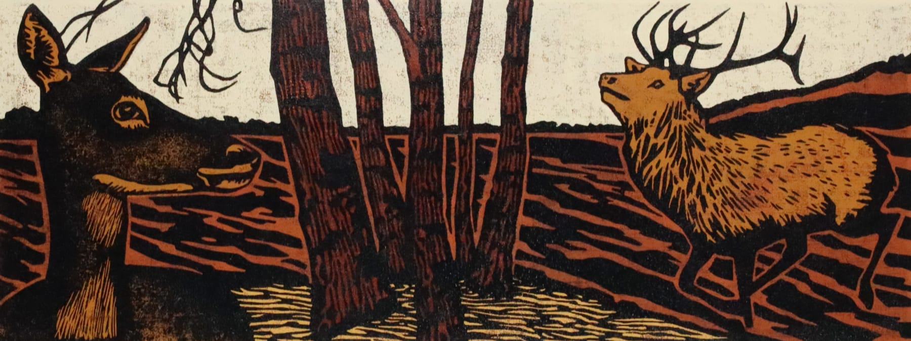 Paul Hogg, Field, 2025