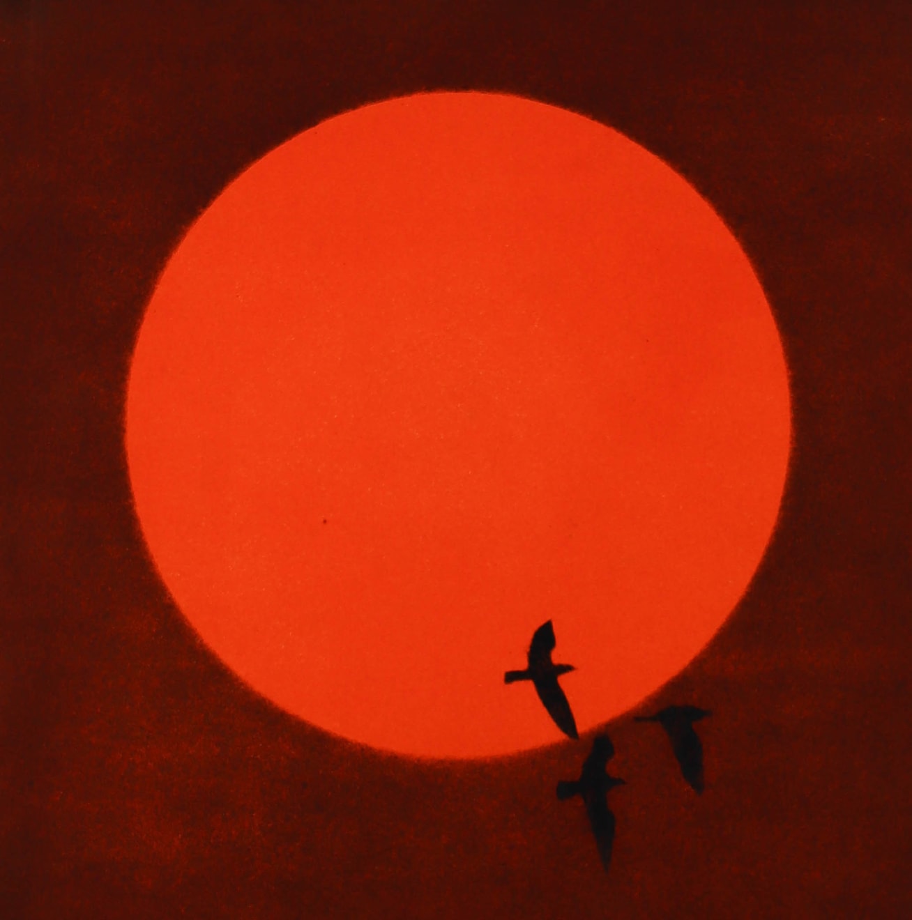 Nigel Swift, Untitled 52, 2024