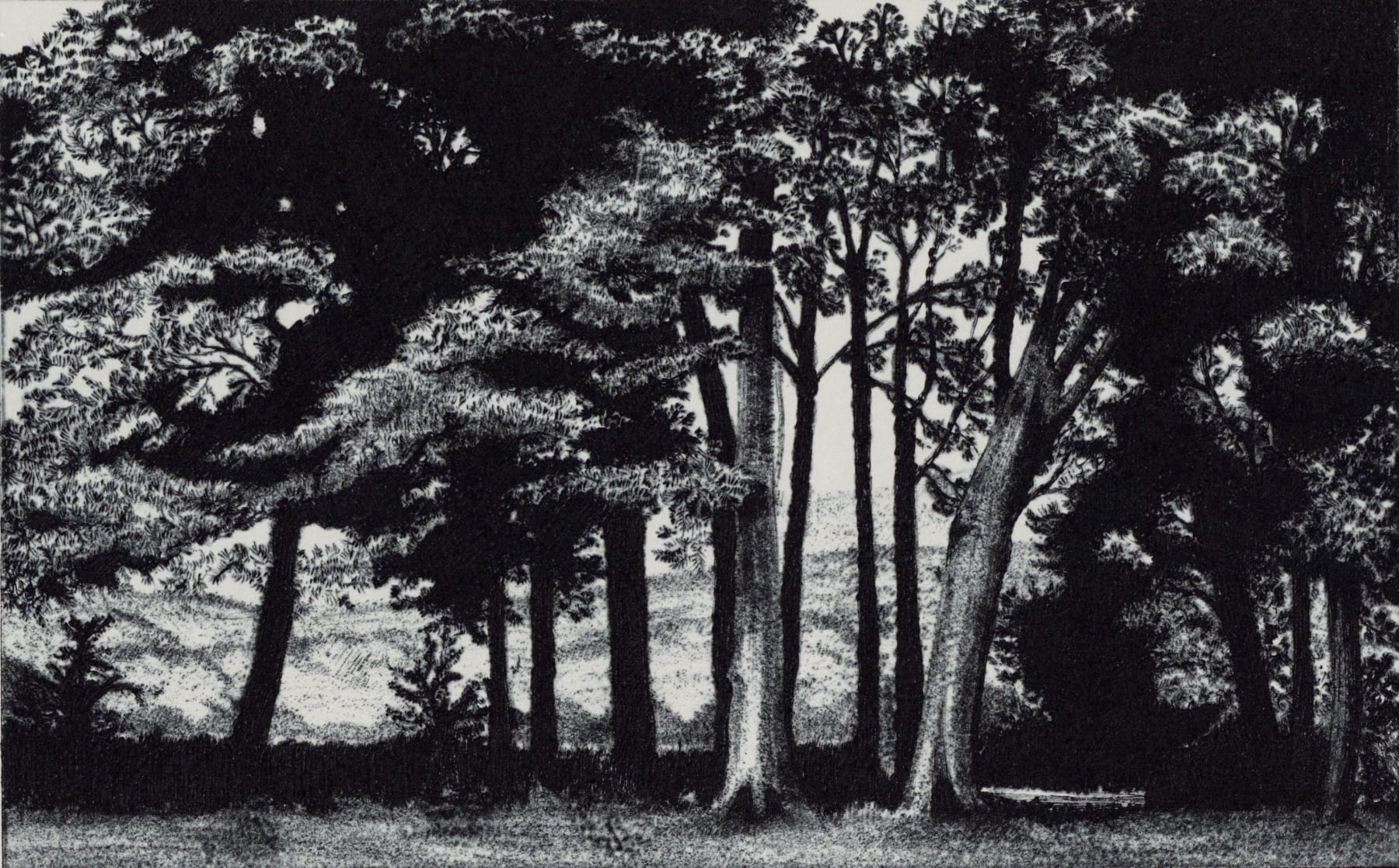 Blaze Cyan, Wardour, 2023