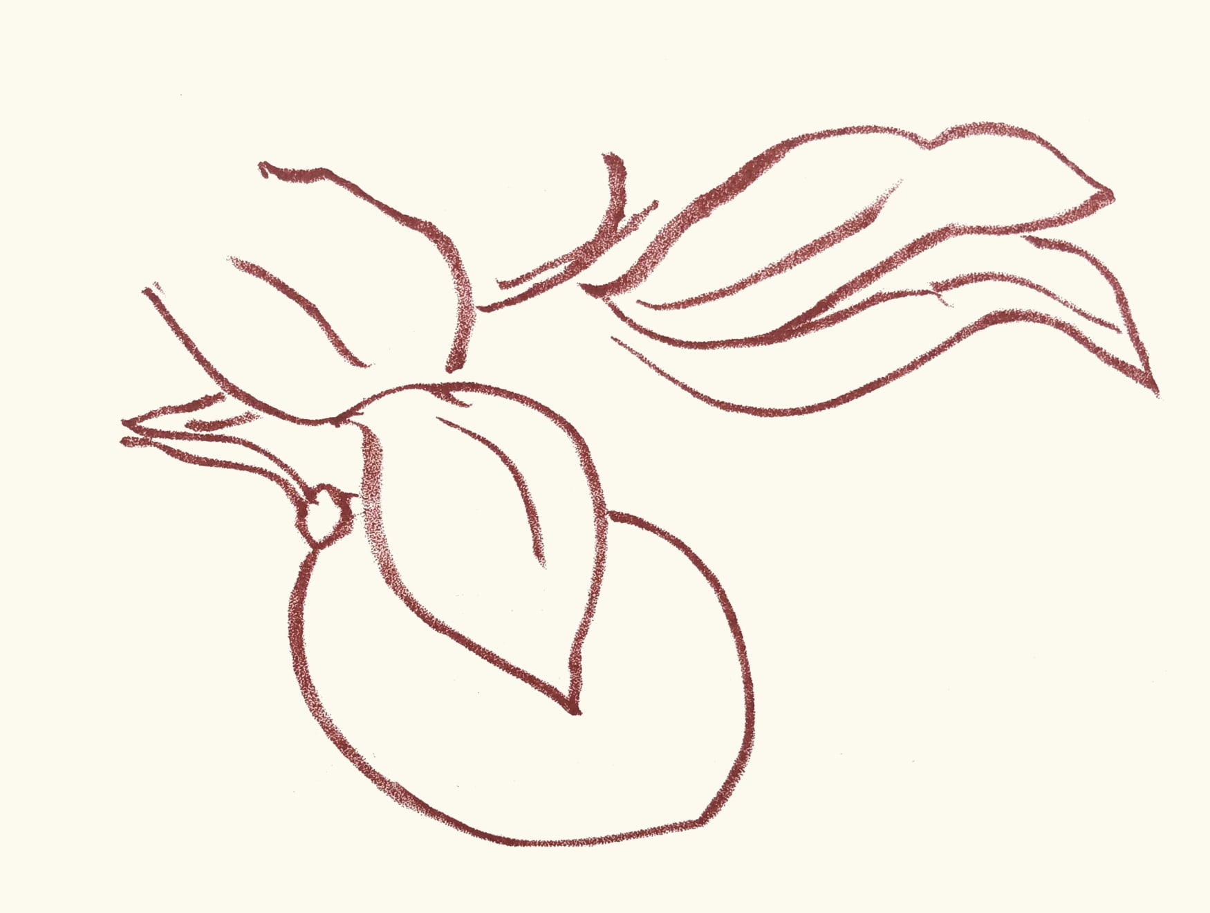 Henri Matisse, Plate 58. Florilège des Amours de Ronsard , 1948