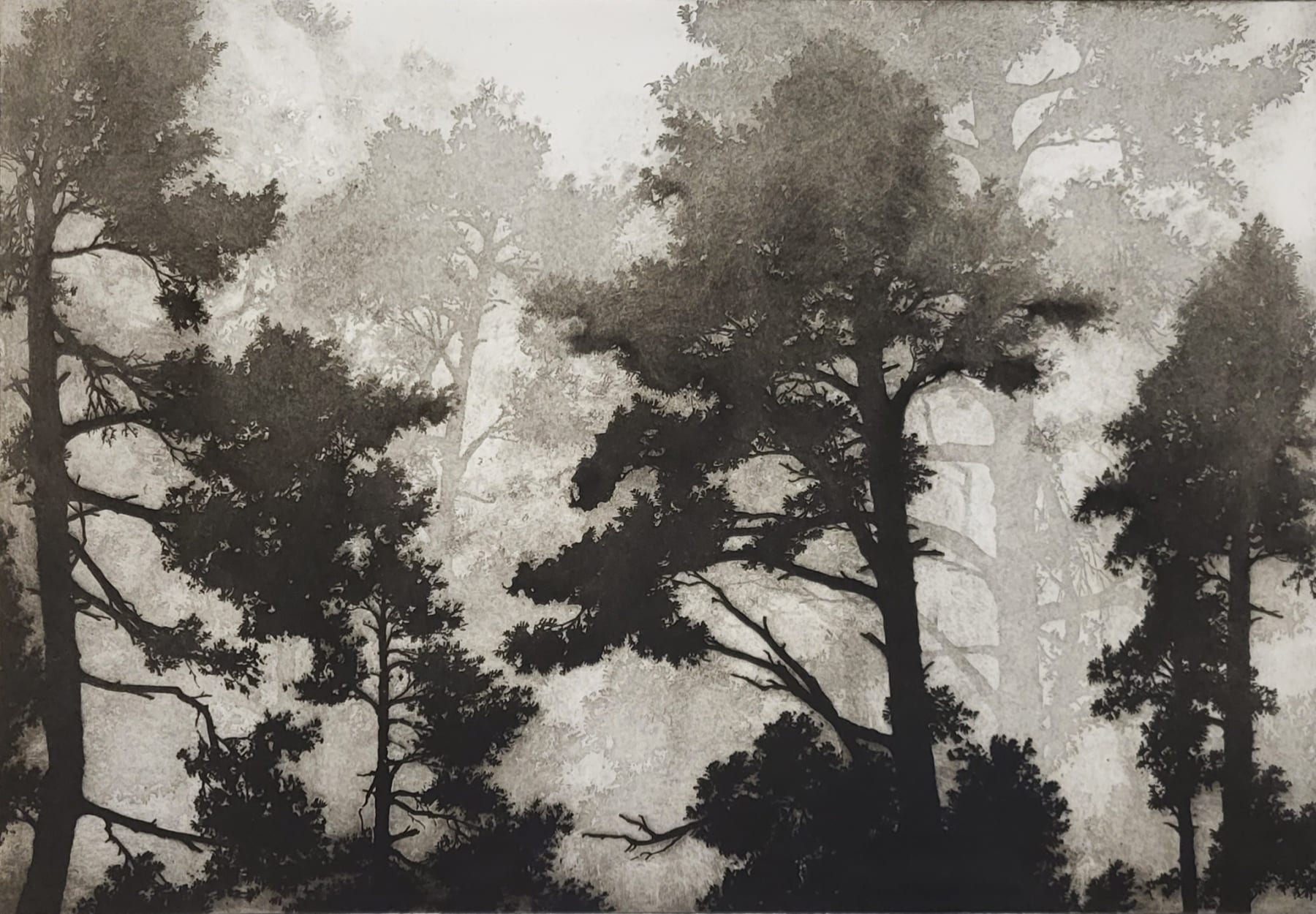 Blaze Cyan, Forest of Ghosts I, 2023