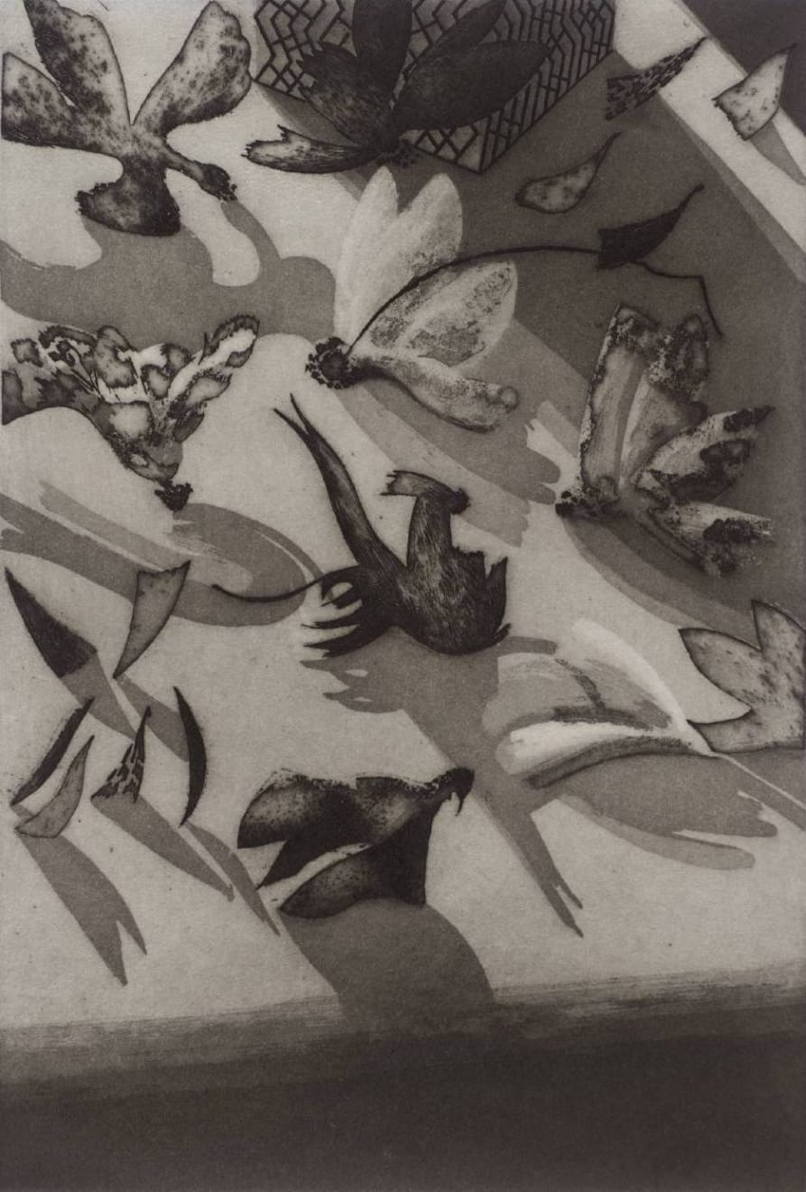 Bill Jacklin, Anemones Plate IV, 1977