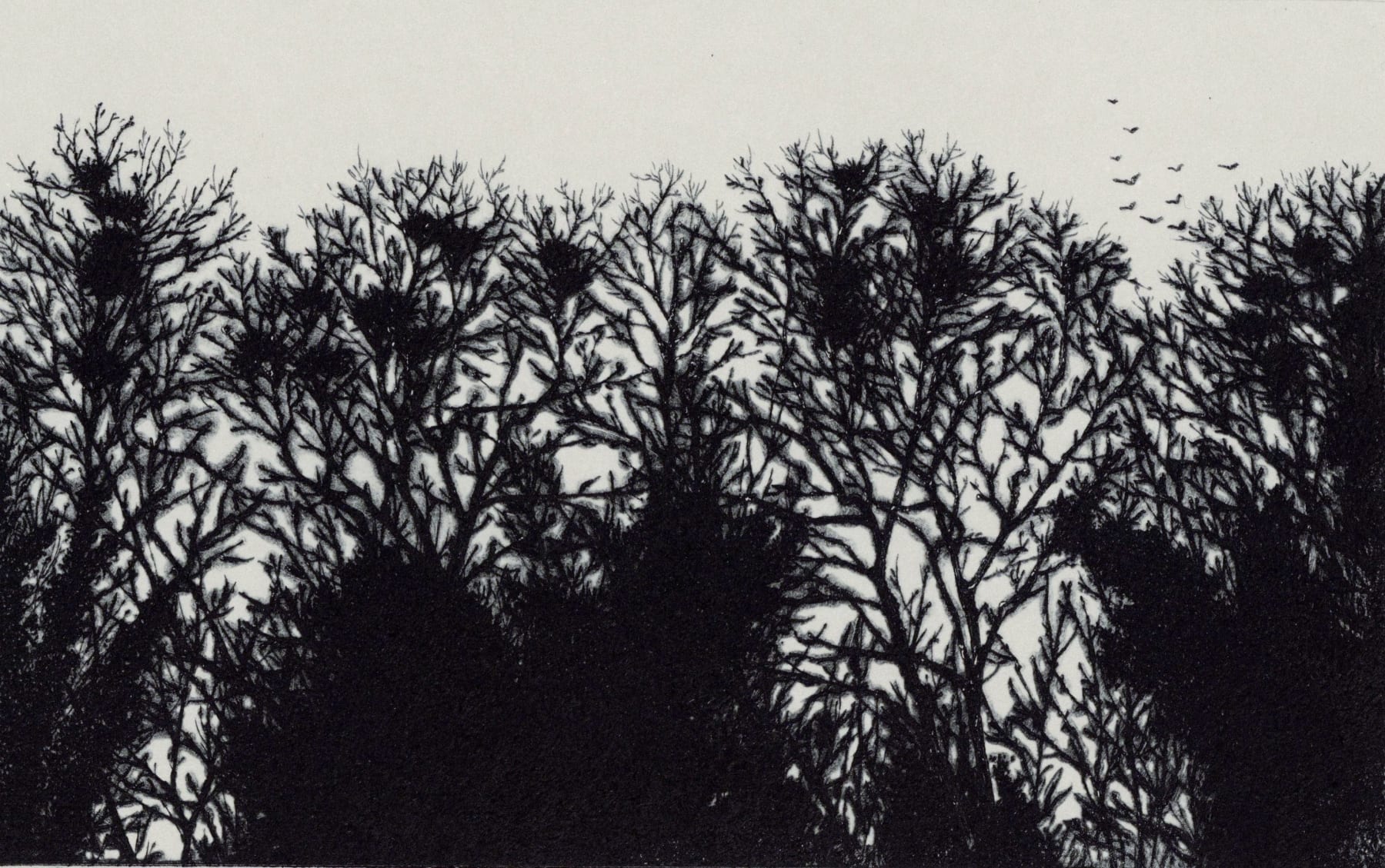 Blaze Cyan, Tisbury, 2023