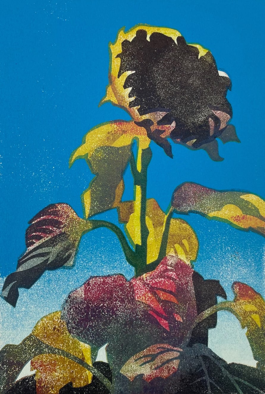 Paul Catherall, Autumn Sunflower II, 2024