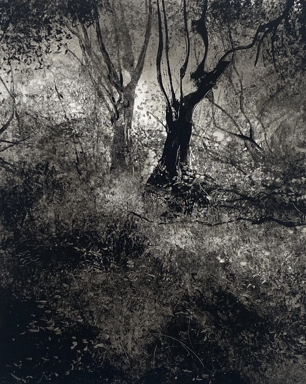 Fiona Fouhy, Roaming Thicket, 2024