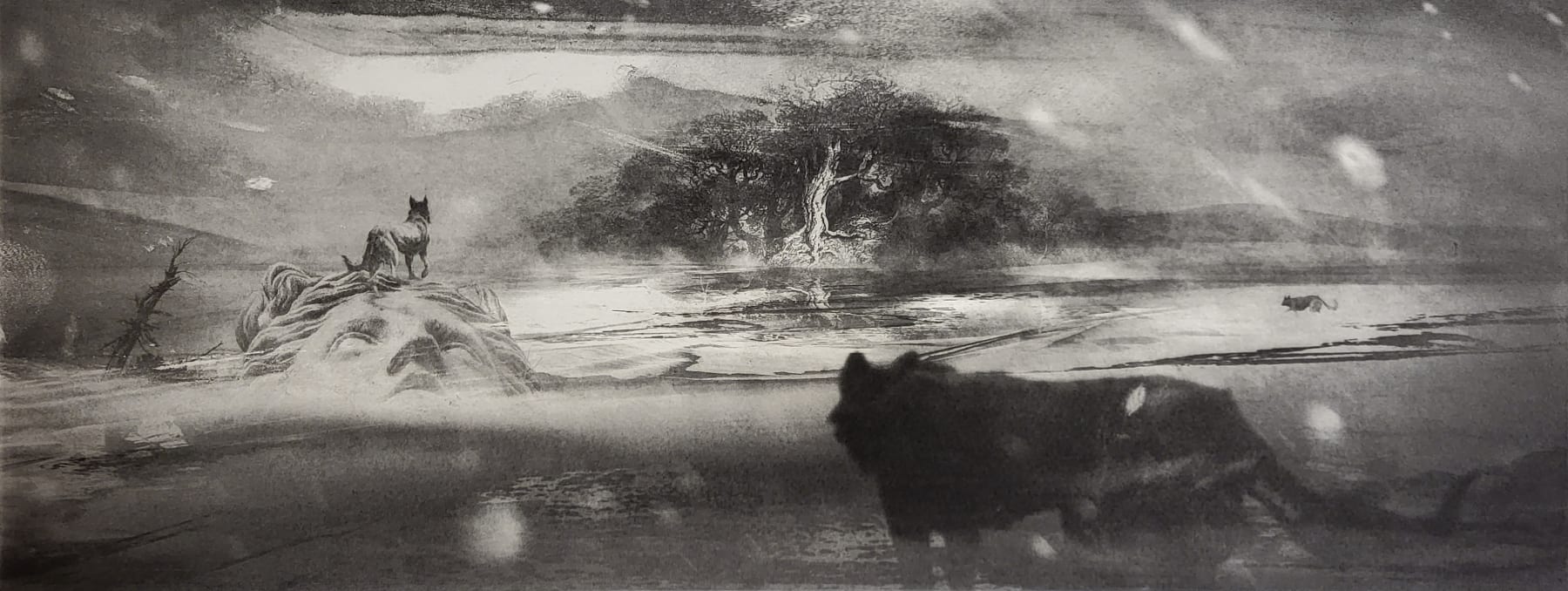 Roantree x Kummattummal, Rewilding II, 2023