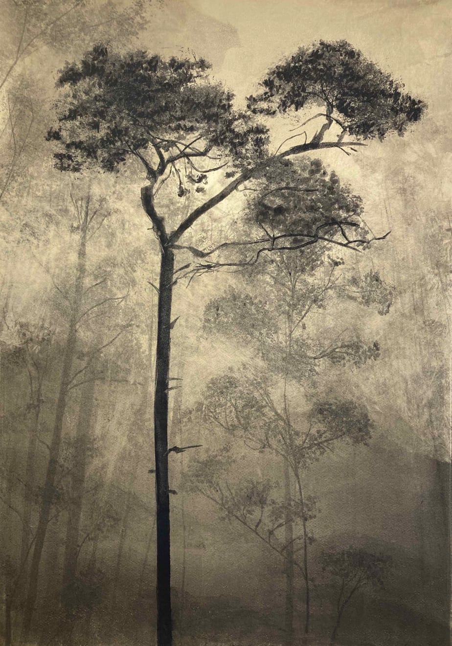 Fiona Fouhy, Forest Aroma, 2023