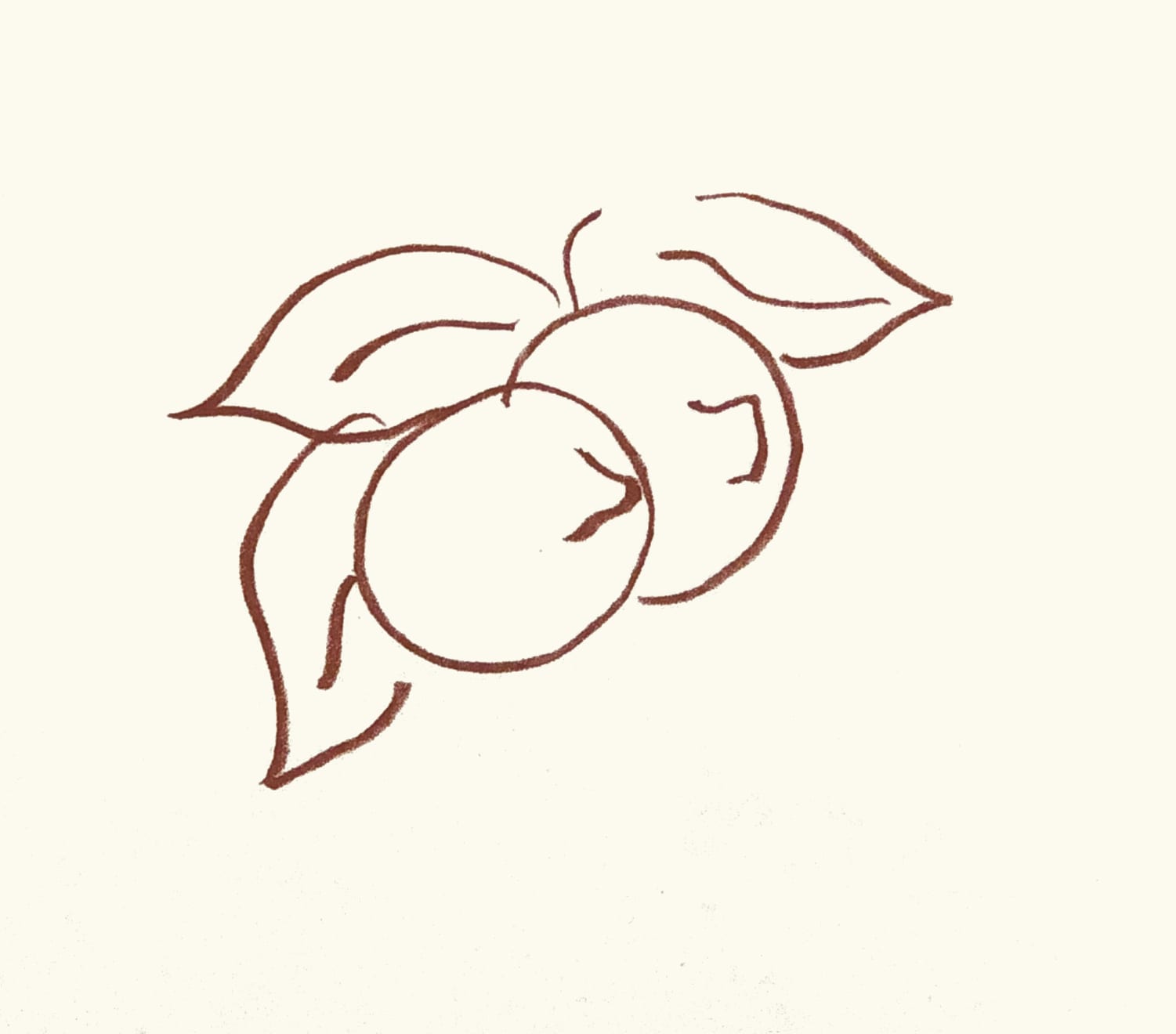 Henri Matisse, Plate 144. Florilège des Amours de Ronsard , 1948