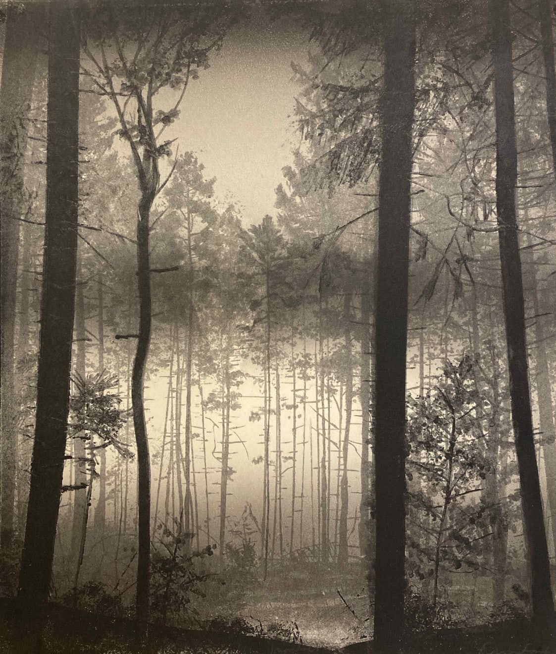 Fiona Fouhy, Impulses, 2023