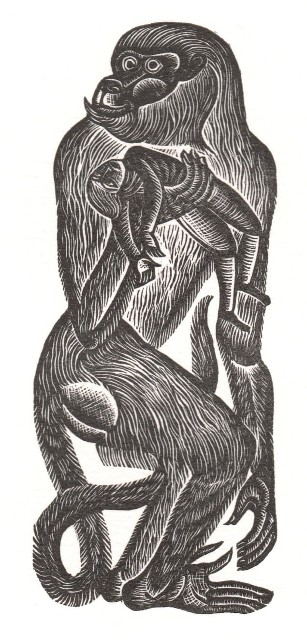 David Jones, Gulliver's Travels: Gulliver is seized by a monkey