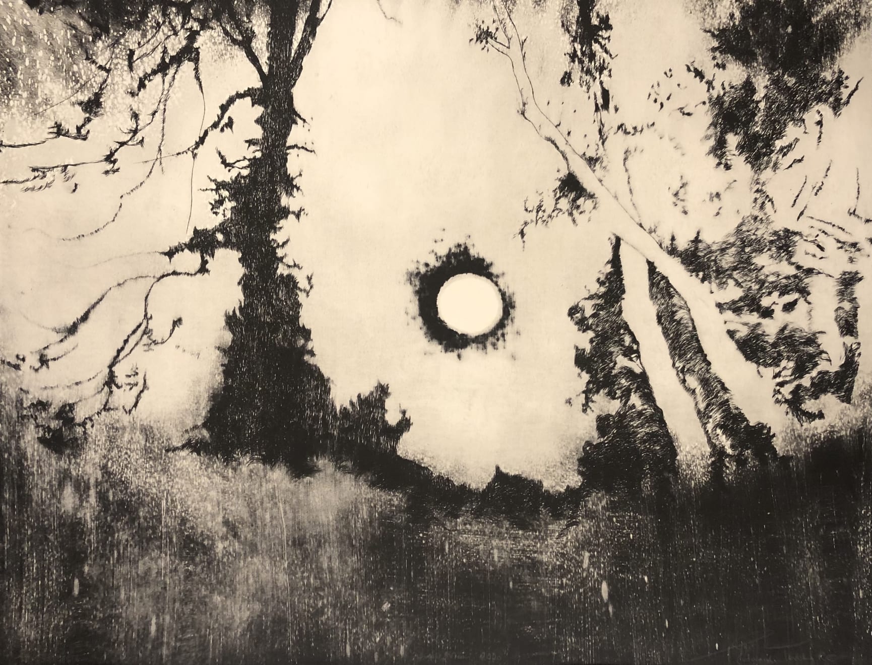 Edward Twohig, Super Moon 40, 2020