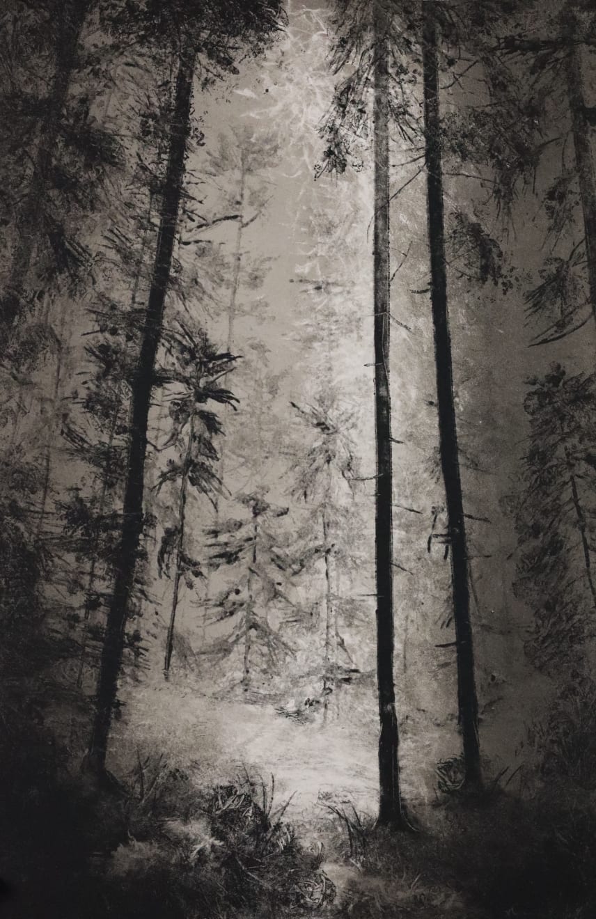 Fiona Fouhy, Moonlit Descent, 2024