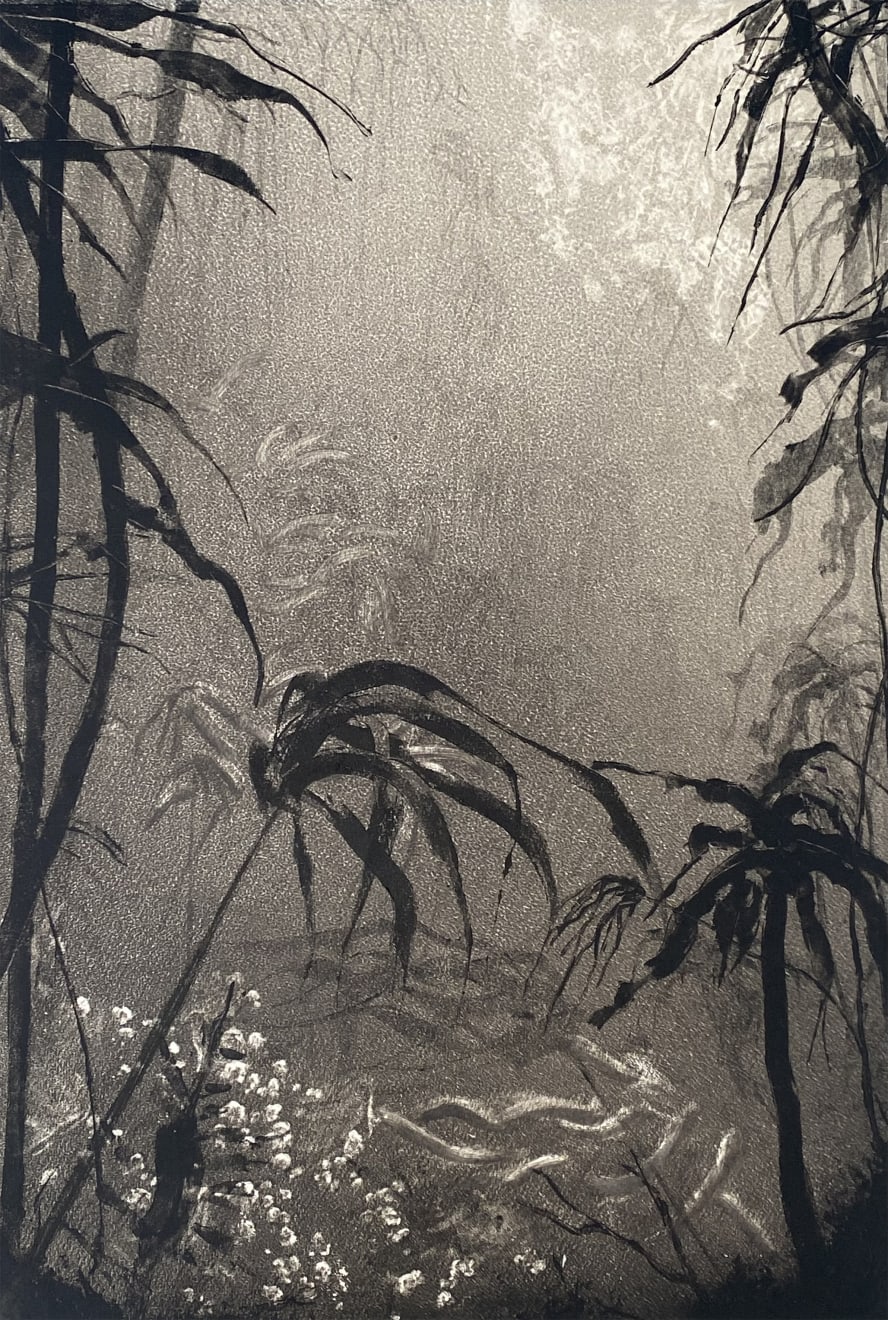 Fiona Fouhy, The Tide Rises, the Tide Falls, the Tide Rises, 2024