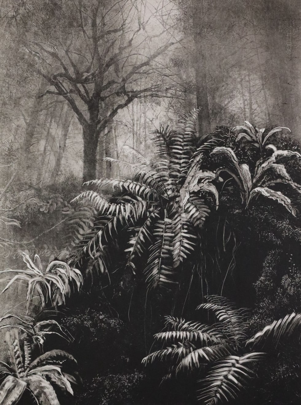 Fiona Fouhy, Different Orders of Existence, 2024