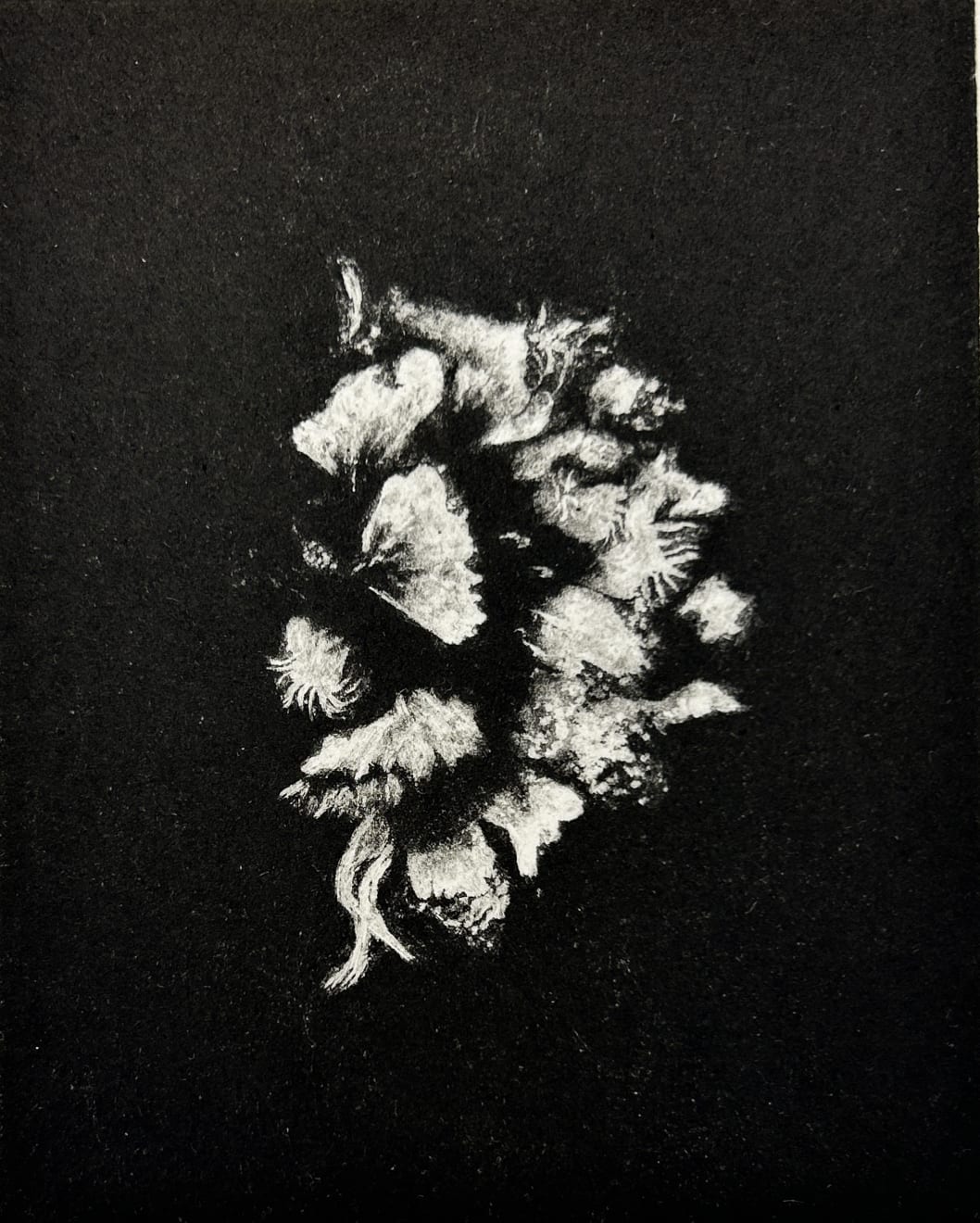 Fiona Fouhy, Midnight Zone I, 2024