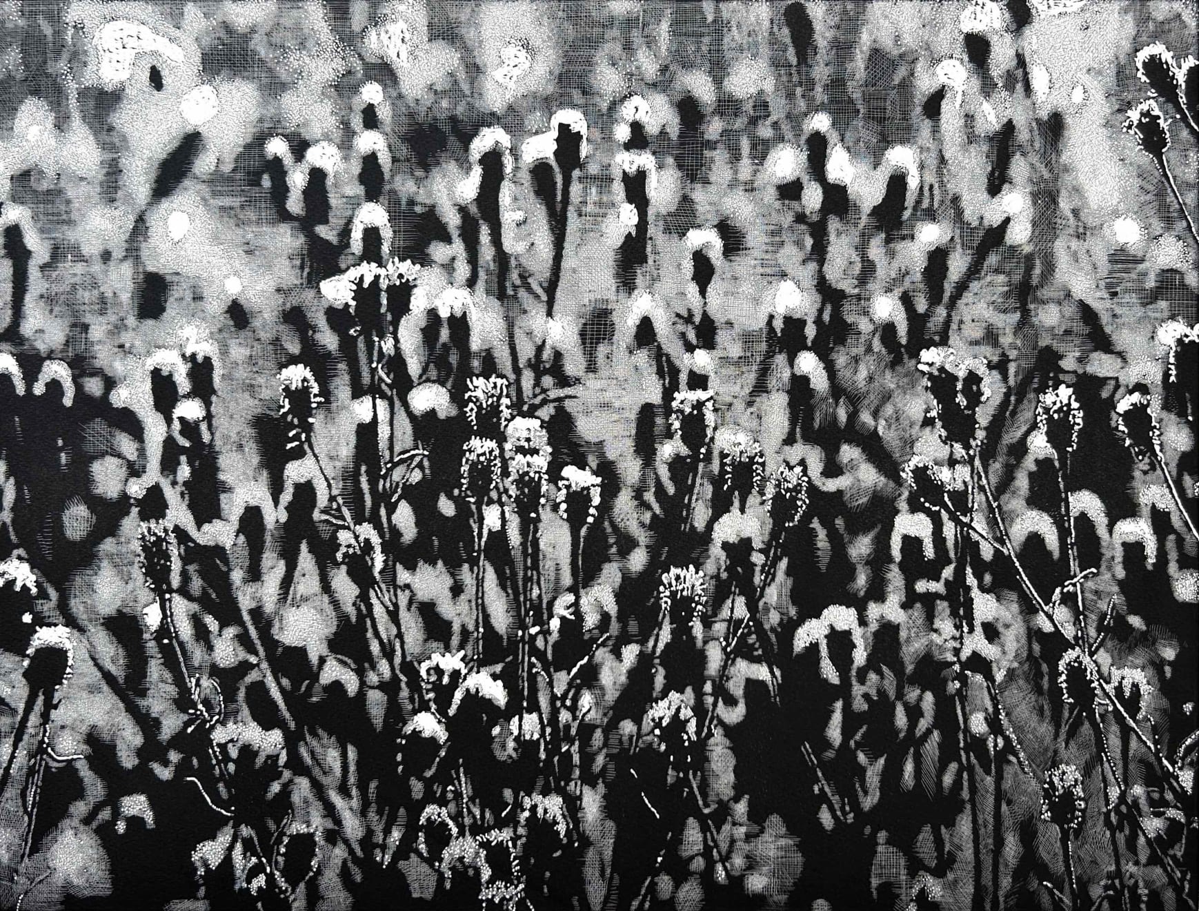 Trevor Price, Seed Pods, 2023