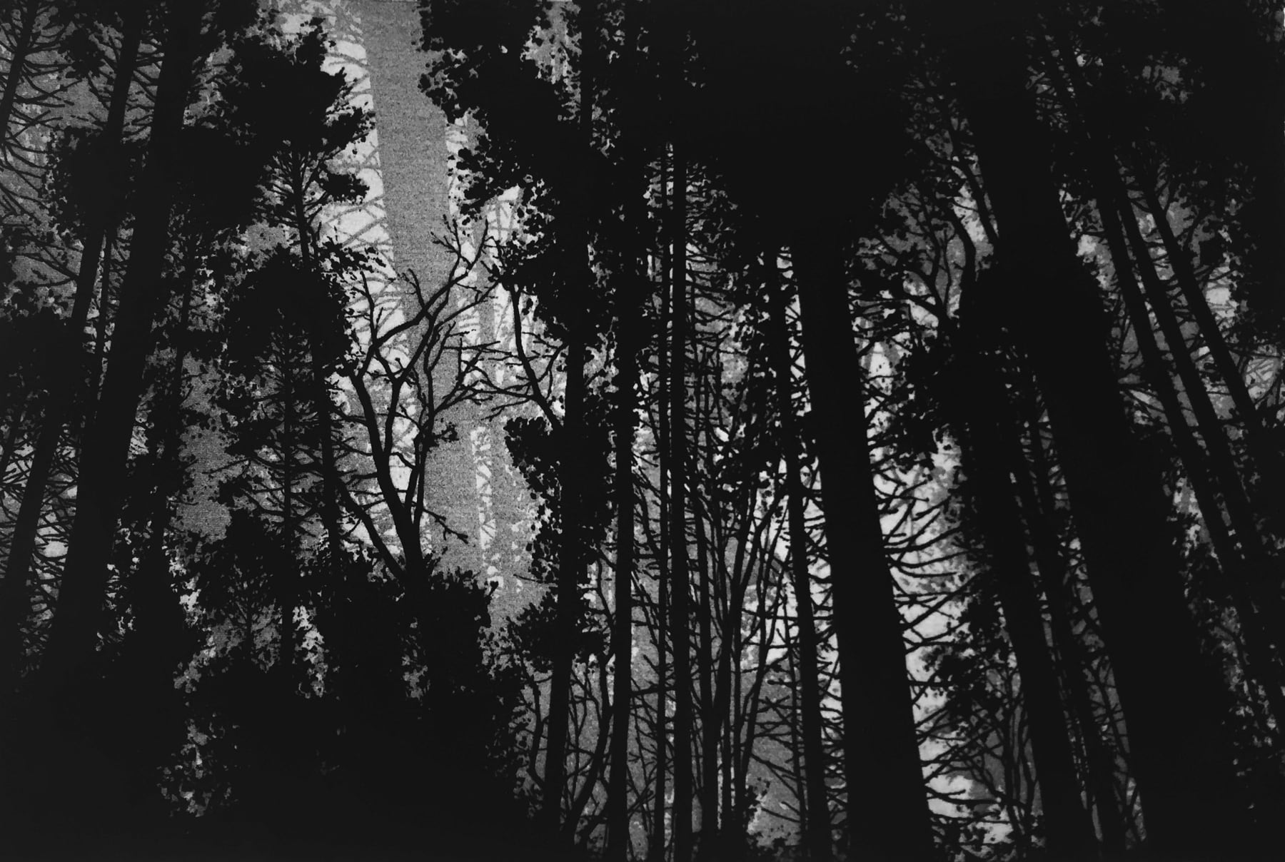 Blaze Cyan, Pitts Wood, Tisbury, 2017