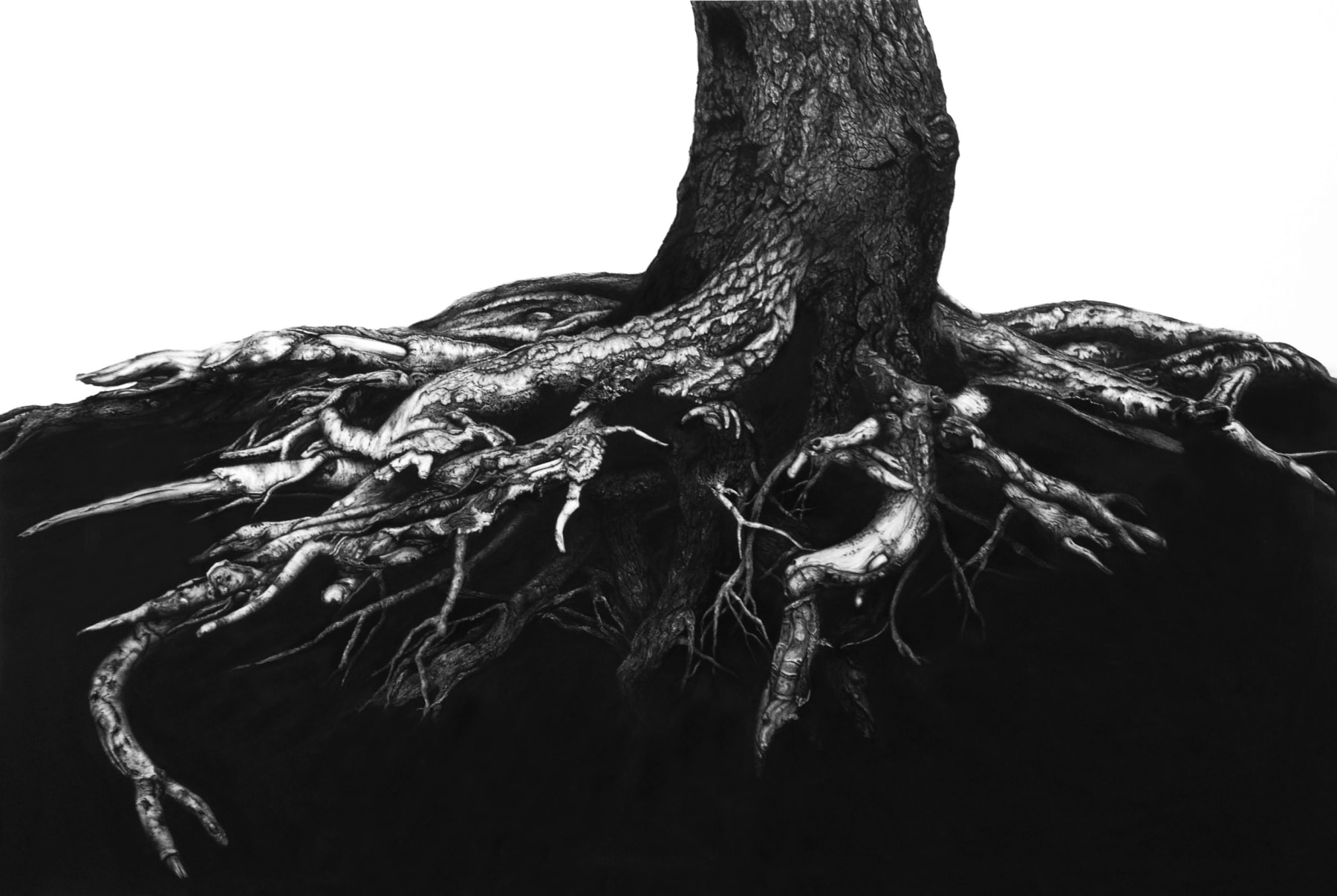 Blaze Cyan, Wimbledon Common, 2014