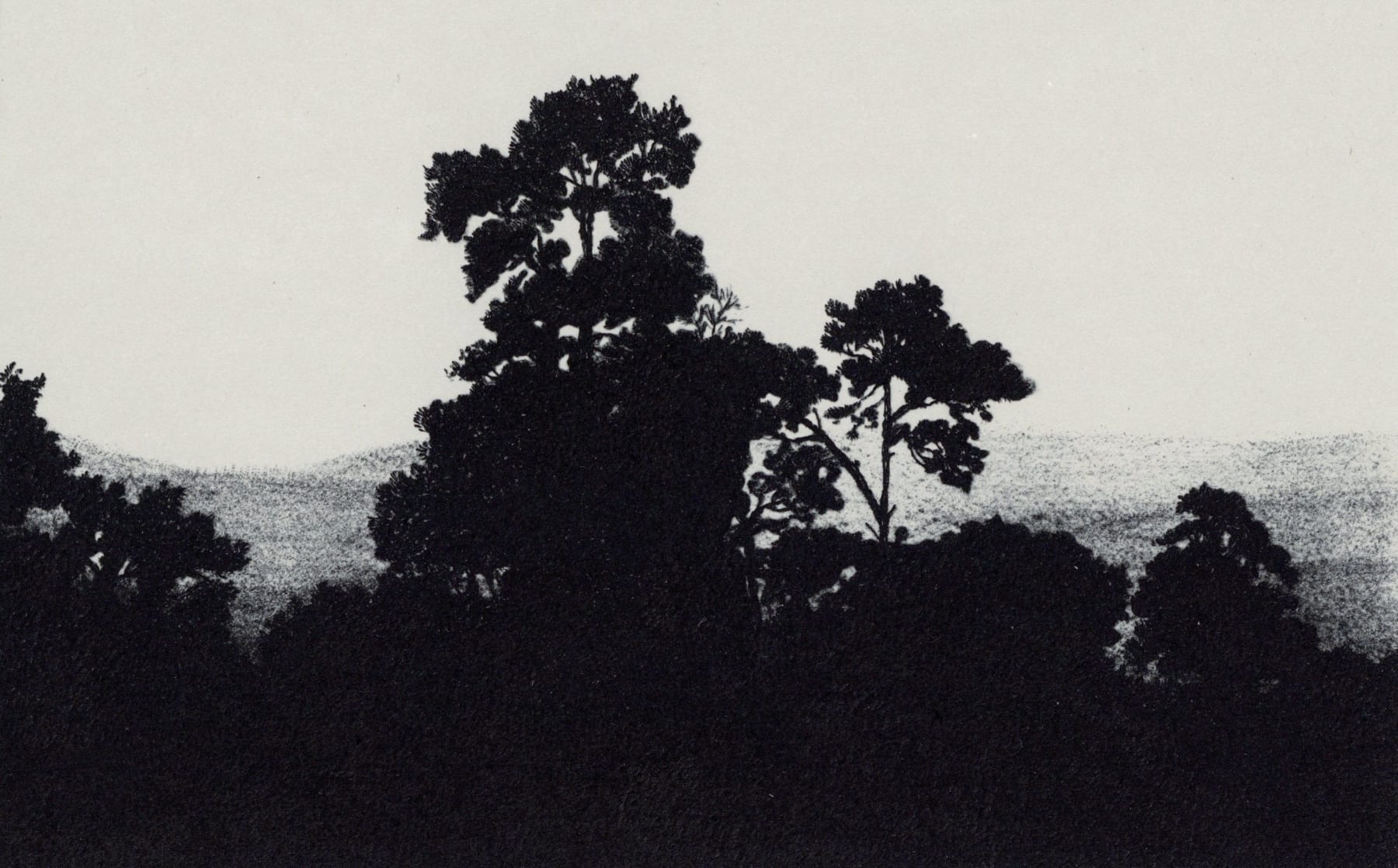 Blaze Cyan, St Martha's Hill, 2023
