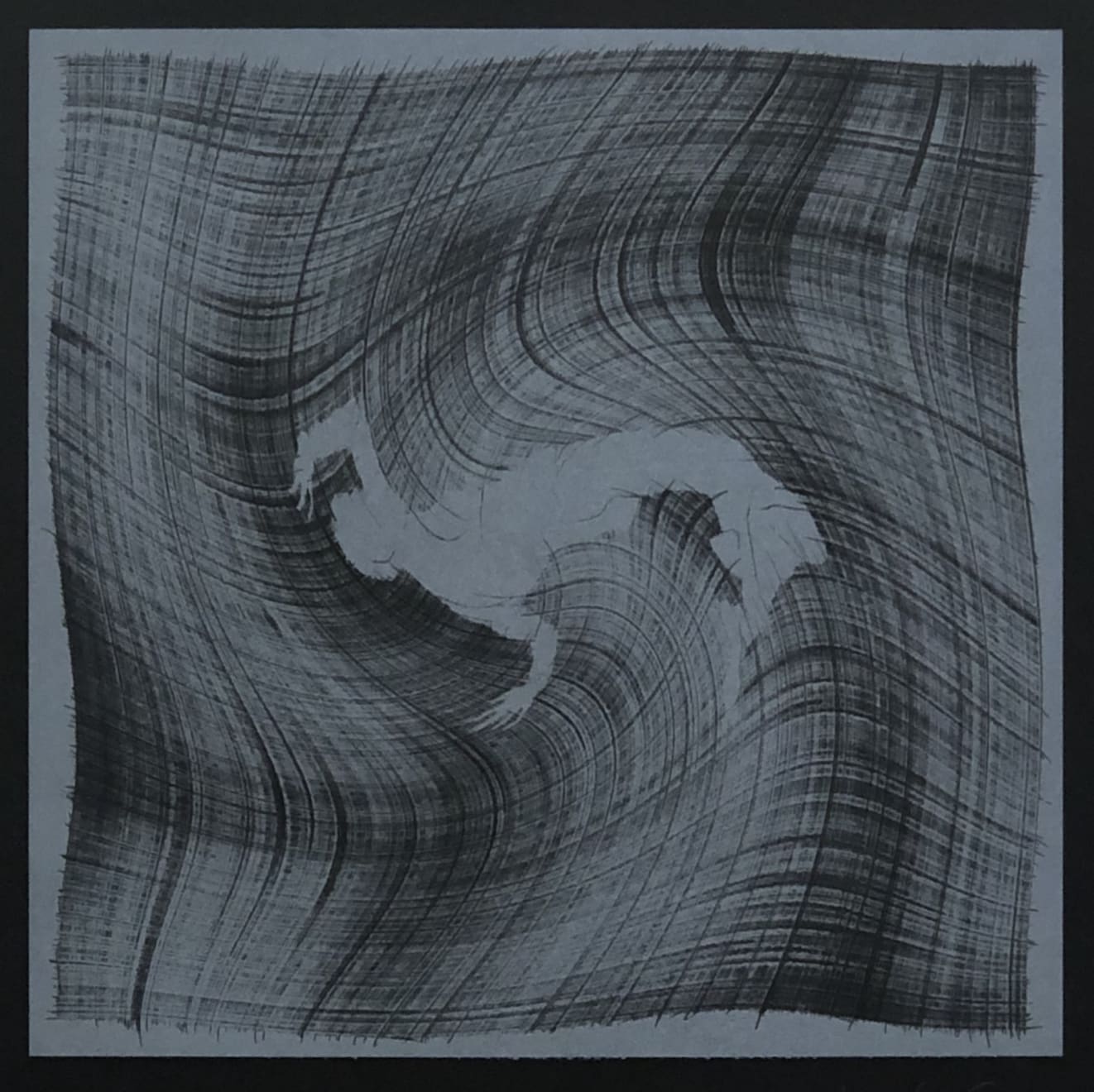 Veta Gorner, Eternal Lines (on black), 2020