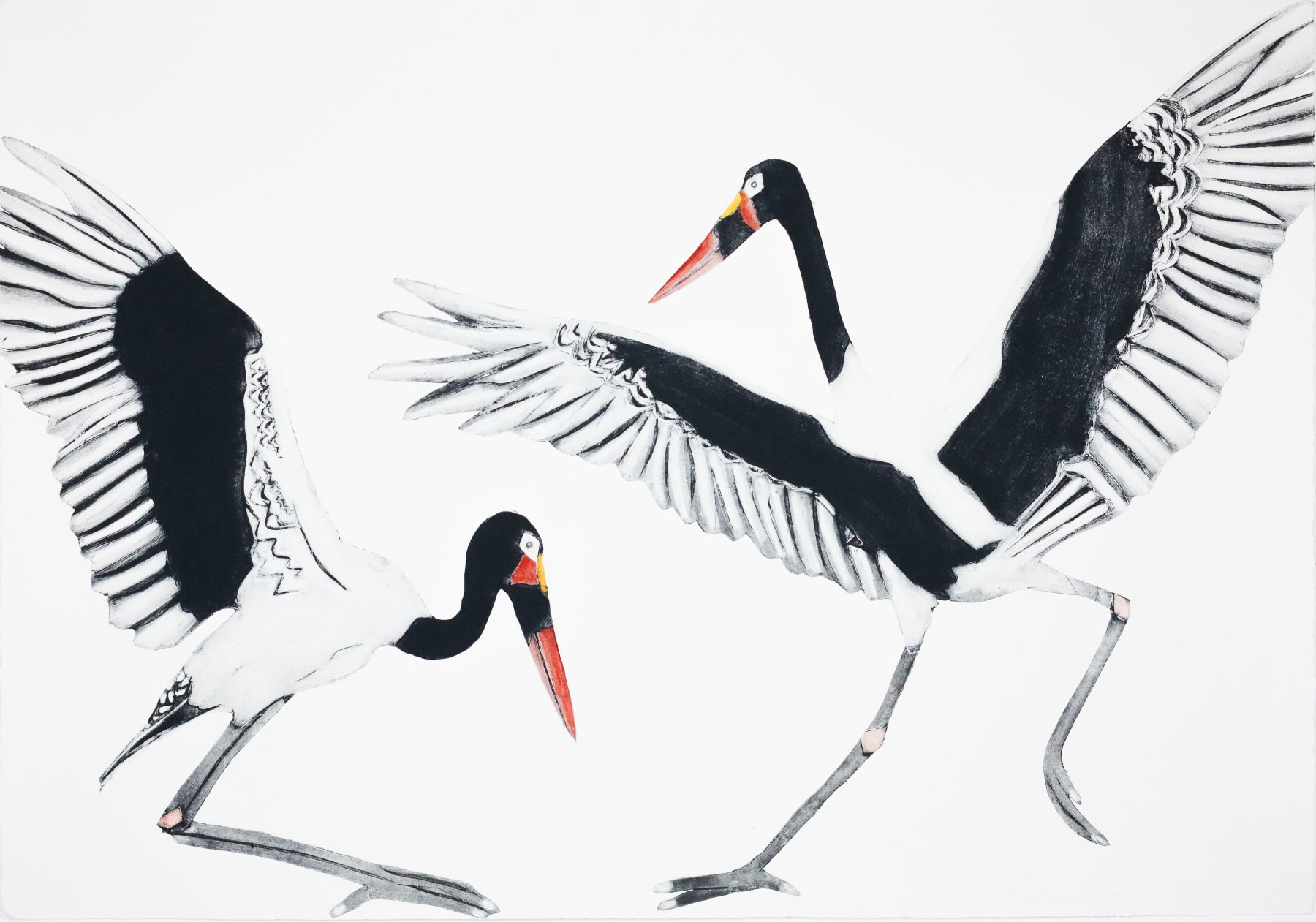 Beatrice Forshall, Saddle-Billed Storks