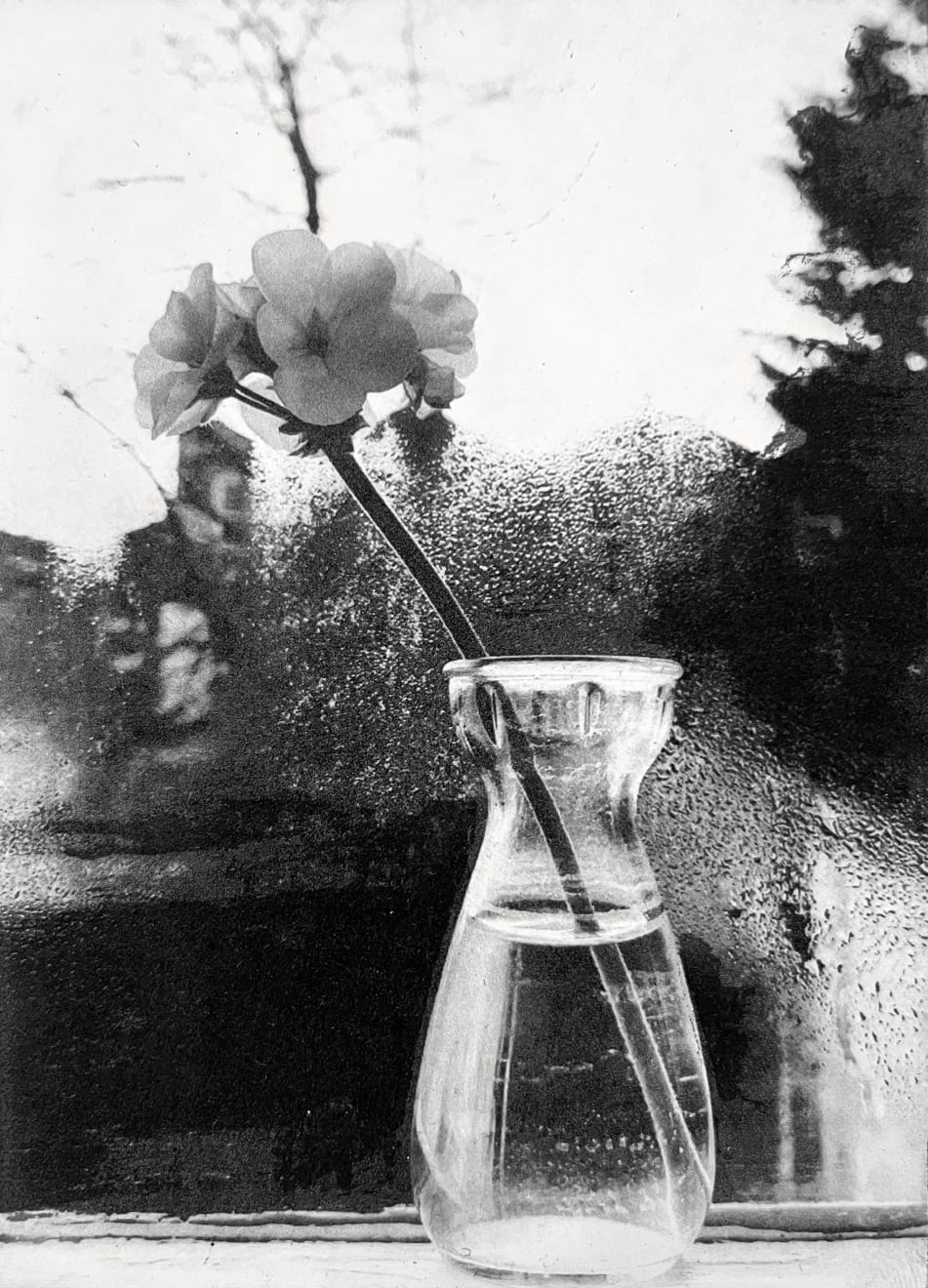 Dulwich College Secret Bid Auction 2025, Lot 5: Lucy Bainbridge - Patience I, 2022