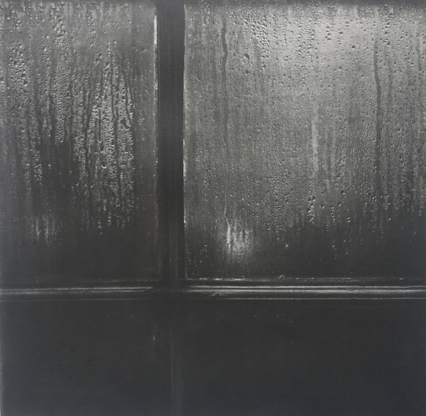 Lucy Bainbridge, November Morning, 2017