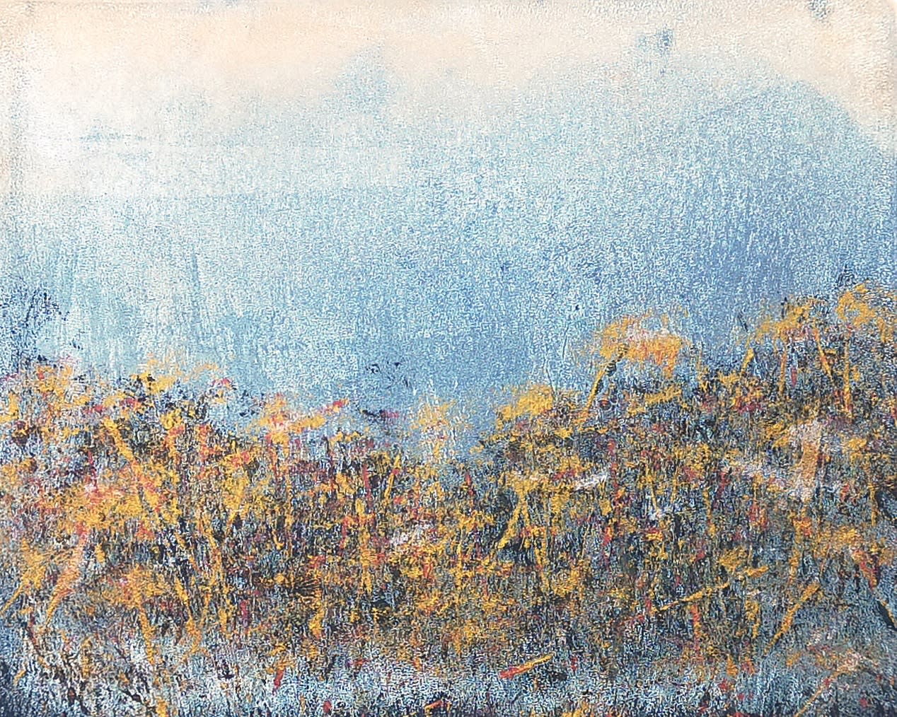 Hamish Macaulay, Above the Canopy, 2024