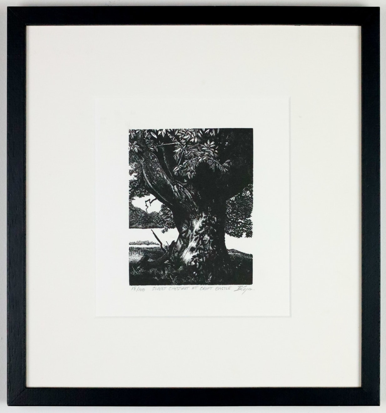 Dulwich College Secret Bid Auction 2025, Lot 39: Blaze Cyan - Sweet Chestnut at Croft Castle, 2023