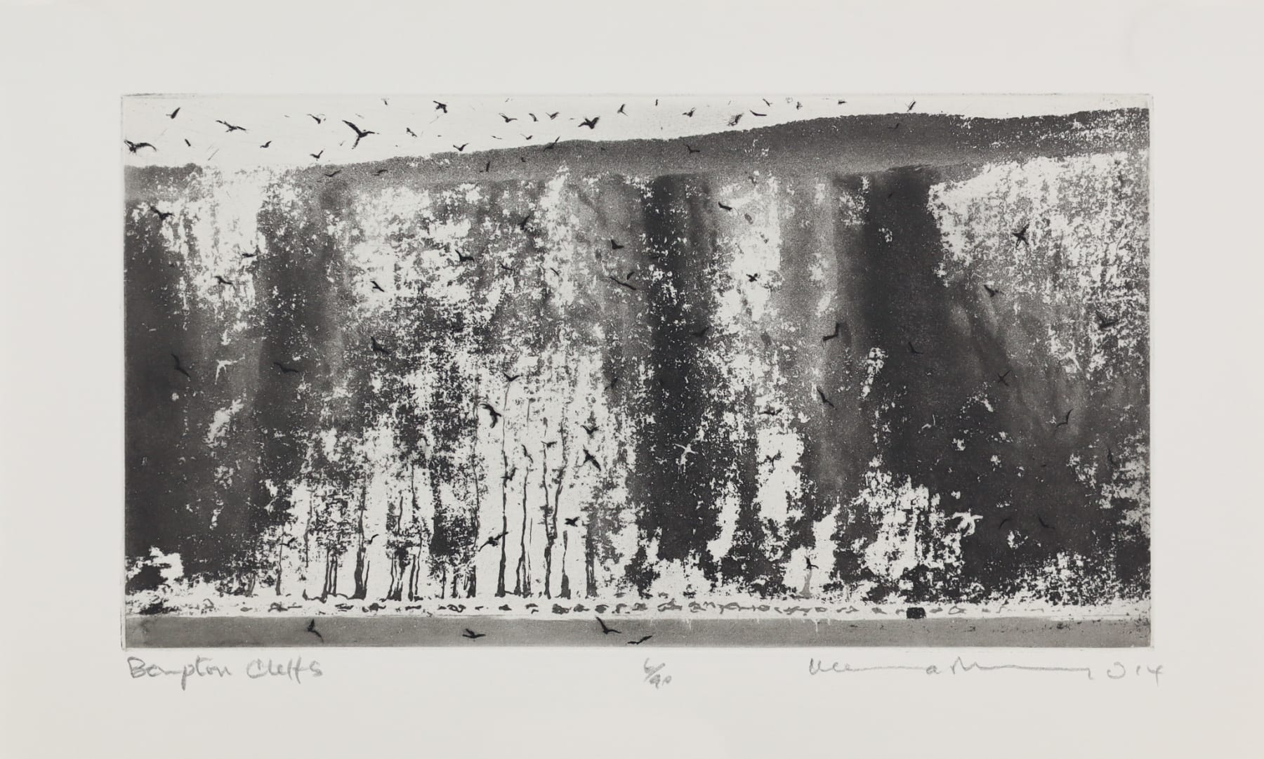 Norman Ackroyd, Bempton Cliffs, 2013