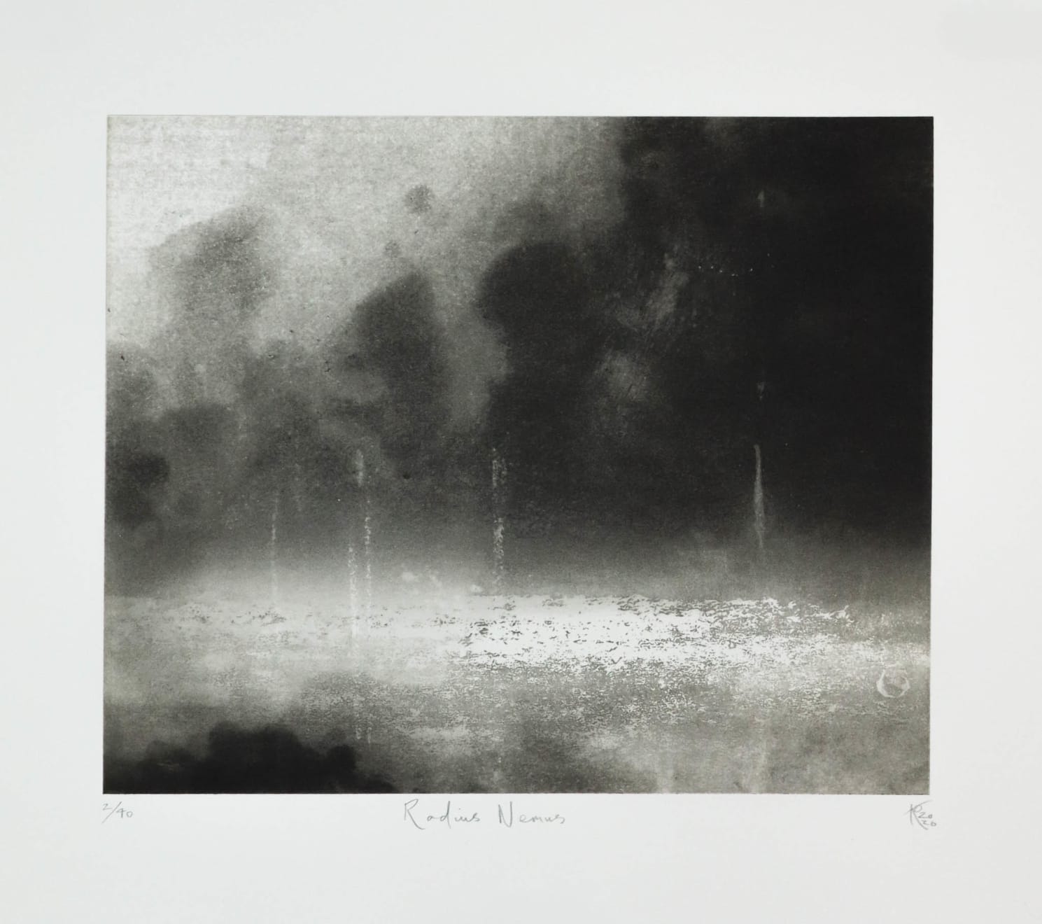 Roantree x Kummattummal, Radius Nemus, 2026