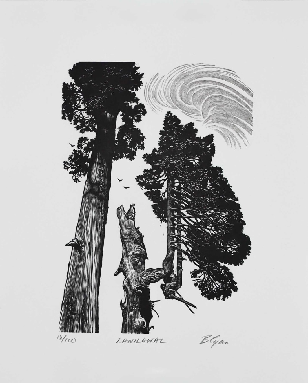 Blaze Cyan, Lanilawal, 2025