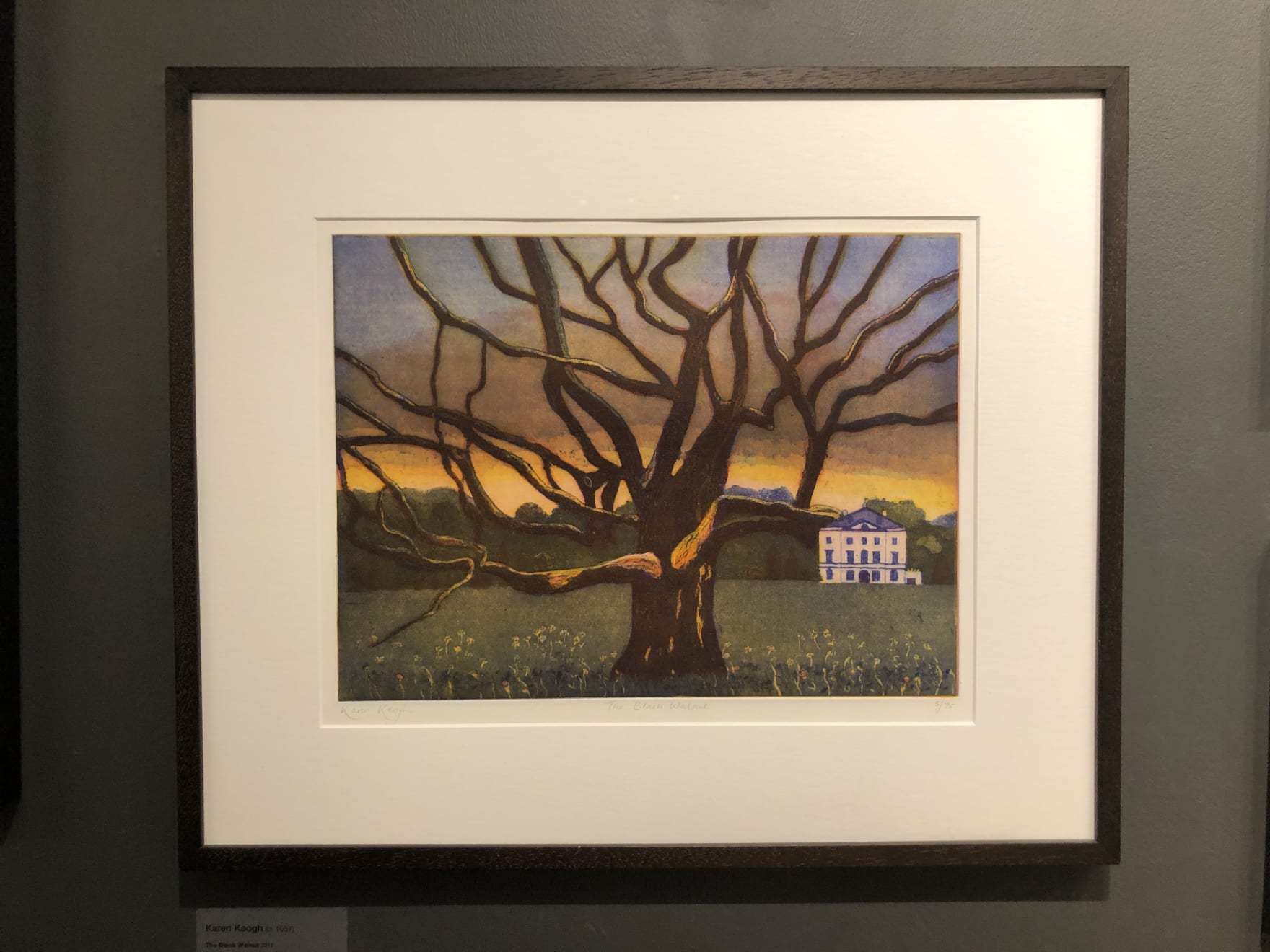 Karen Keogh, The Black Walnut, 2017