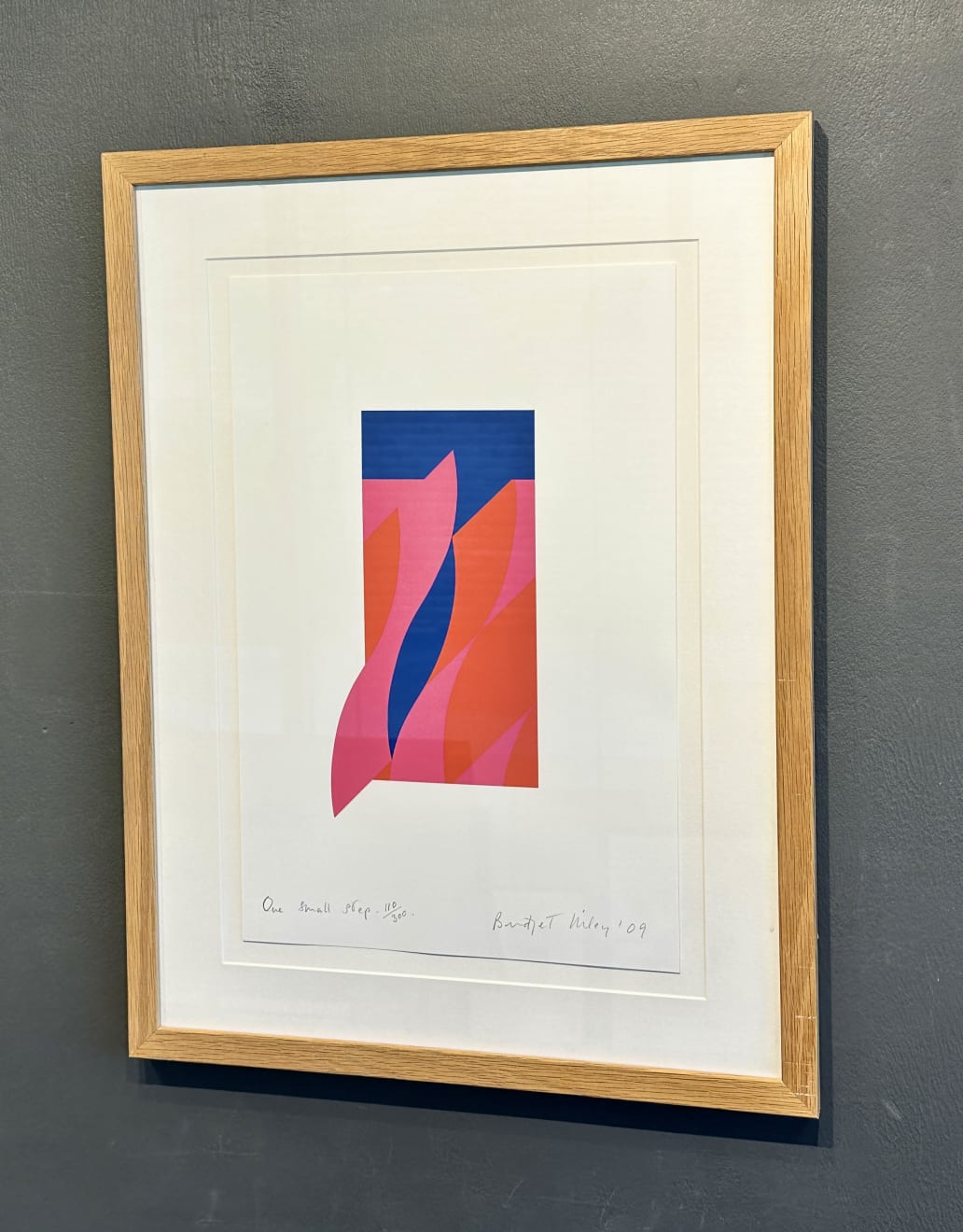 Bridget Riley, One Small Step, 2009