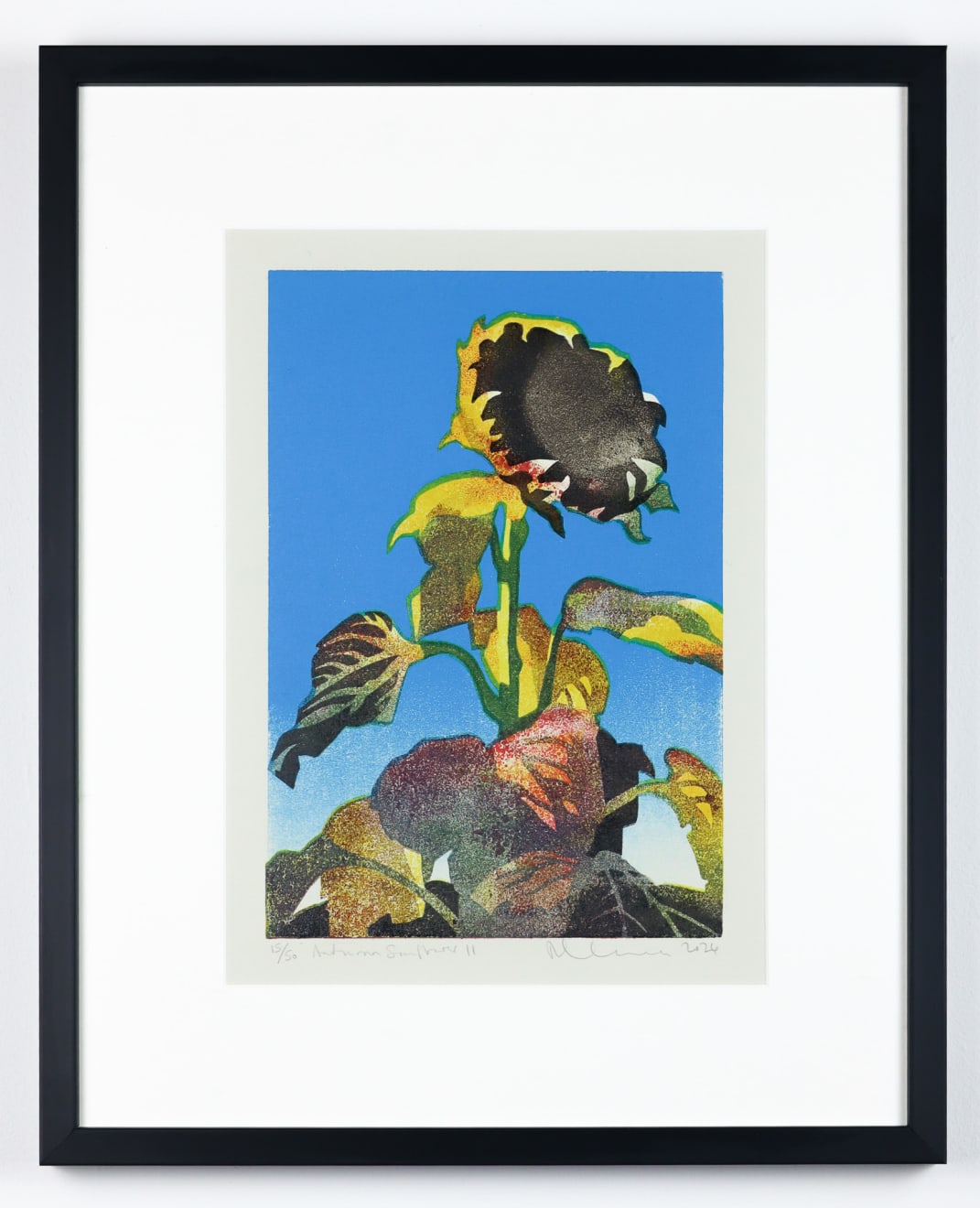Paul Catherall, Autumn Sunflower II, 2024