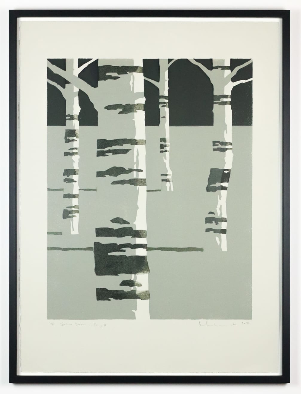 Paul Catherall, Silver Birch on Grey II, 2025