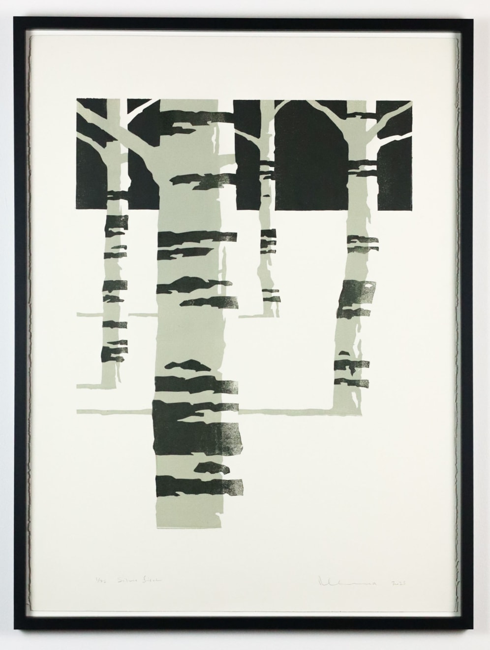 Paul Catherall, Silver Birch, 2025
