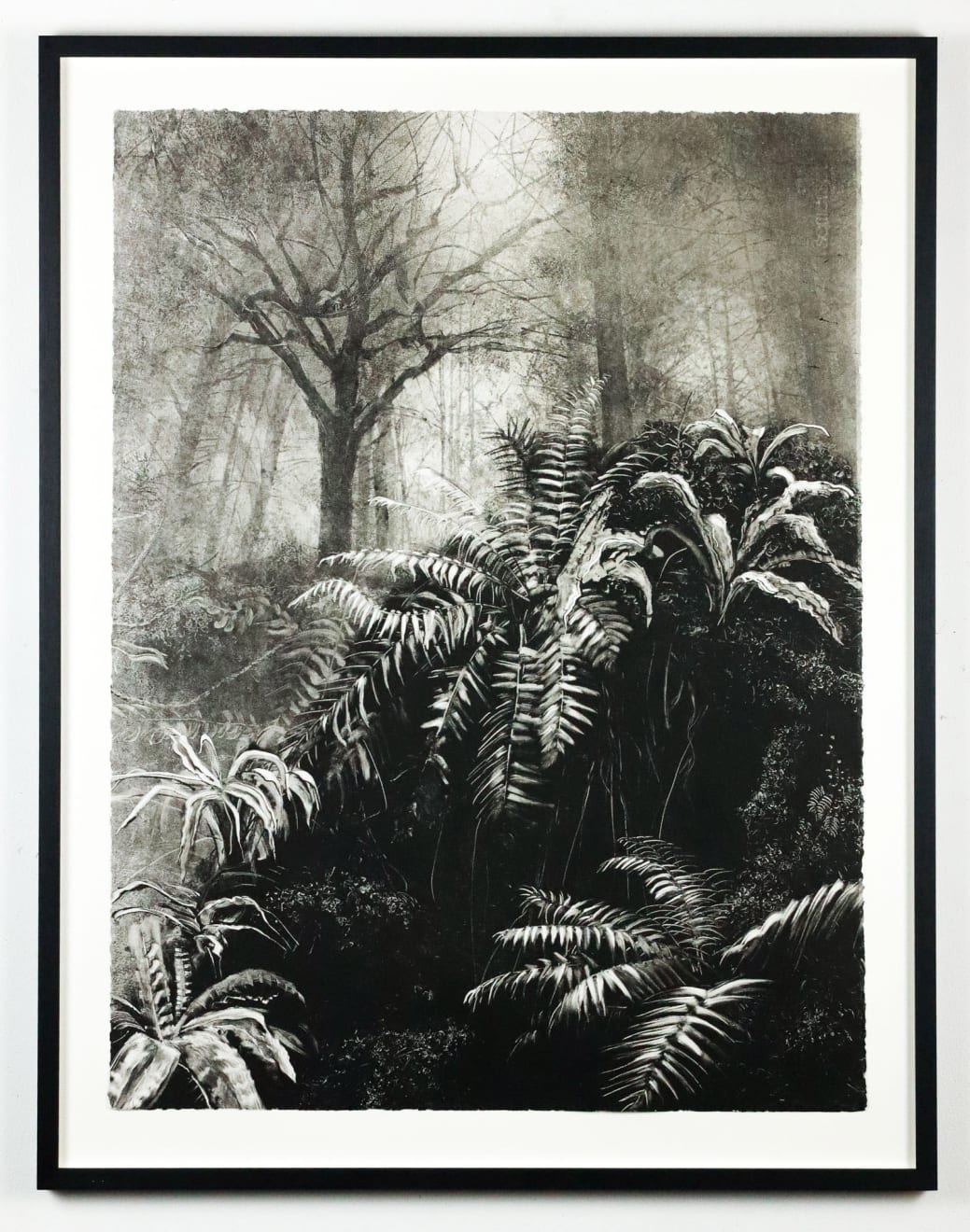 Fiona Fouhy, Different Orders of Existence, 2024