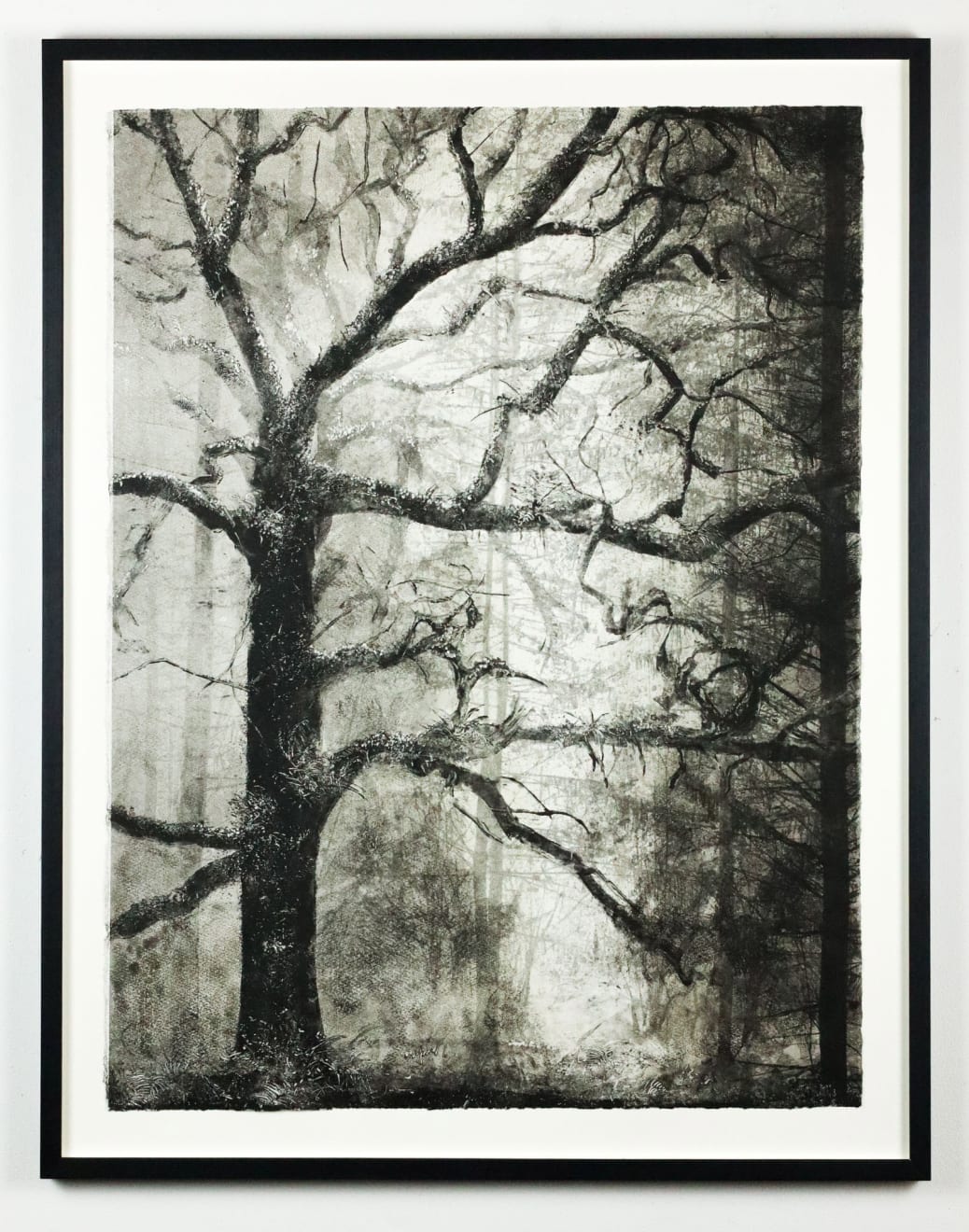 Fiona Fouhy, Stay a While, 2024