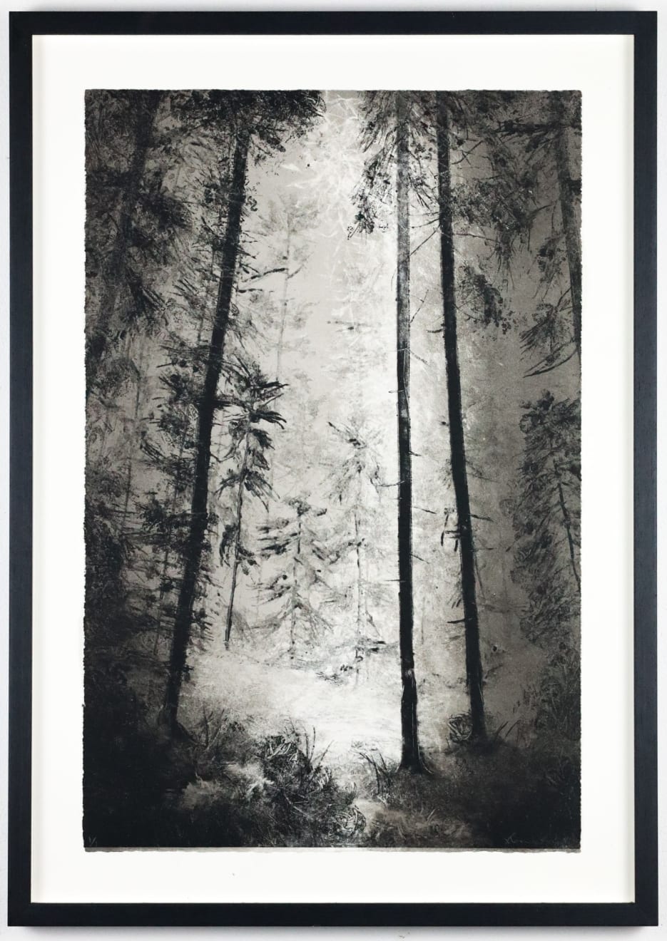 Fiona Fouhy, Moonlit Descent, 2024